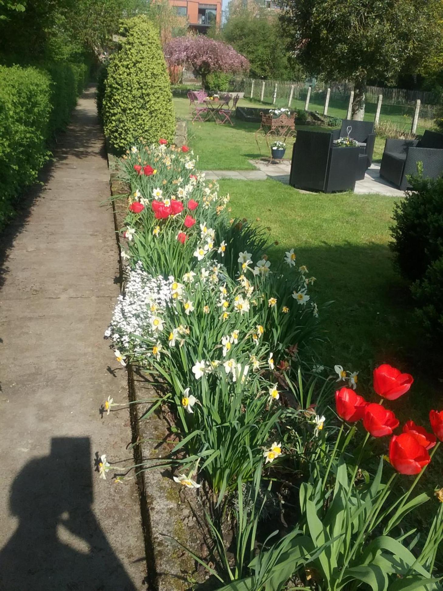 B&B Au Jardin Fleuri