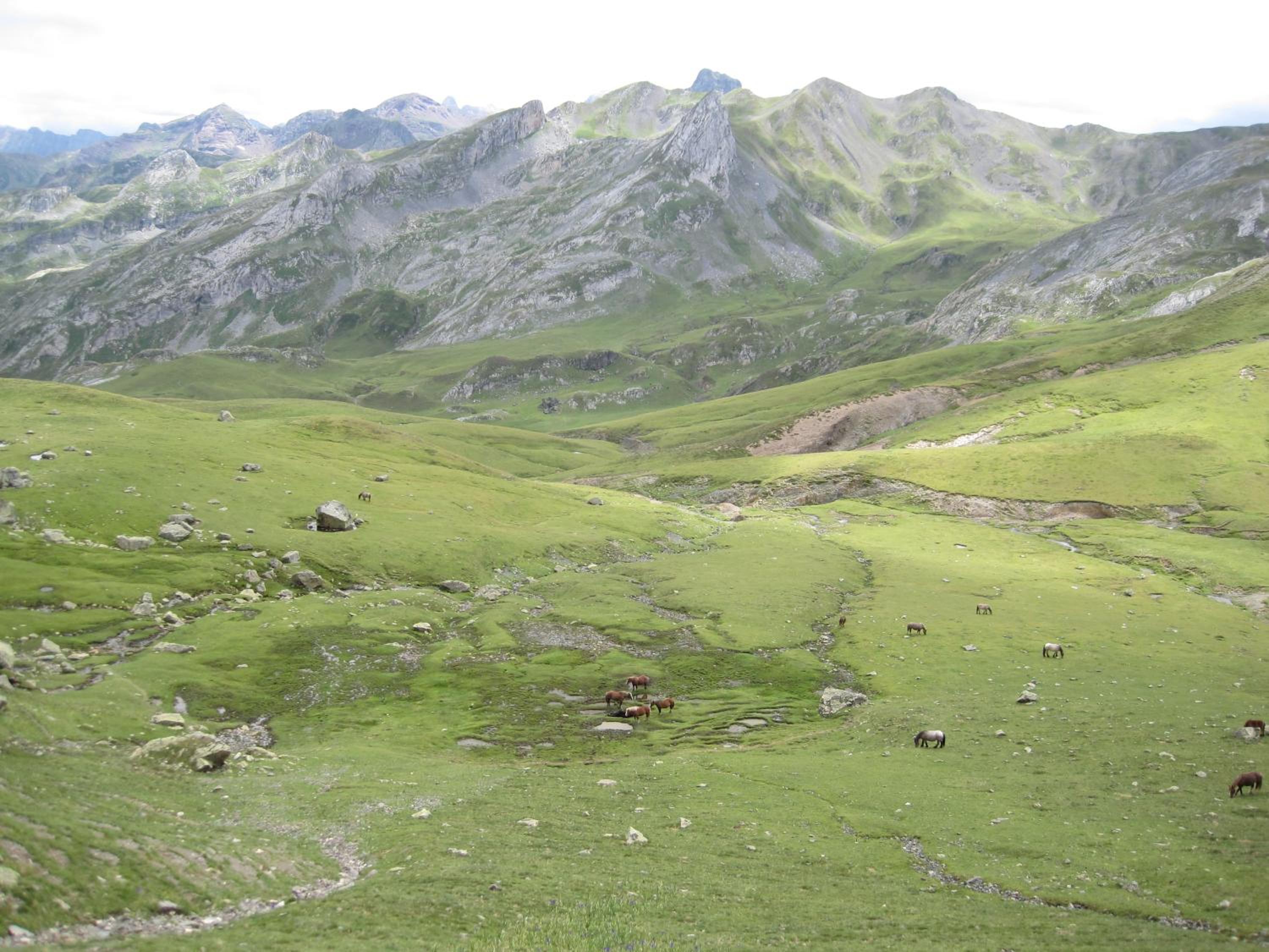 Photo 33