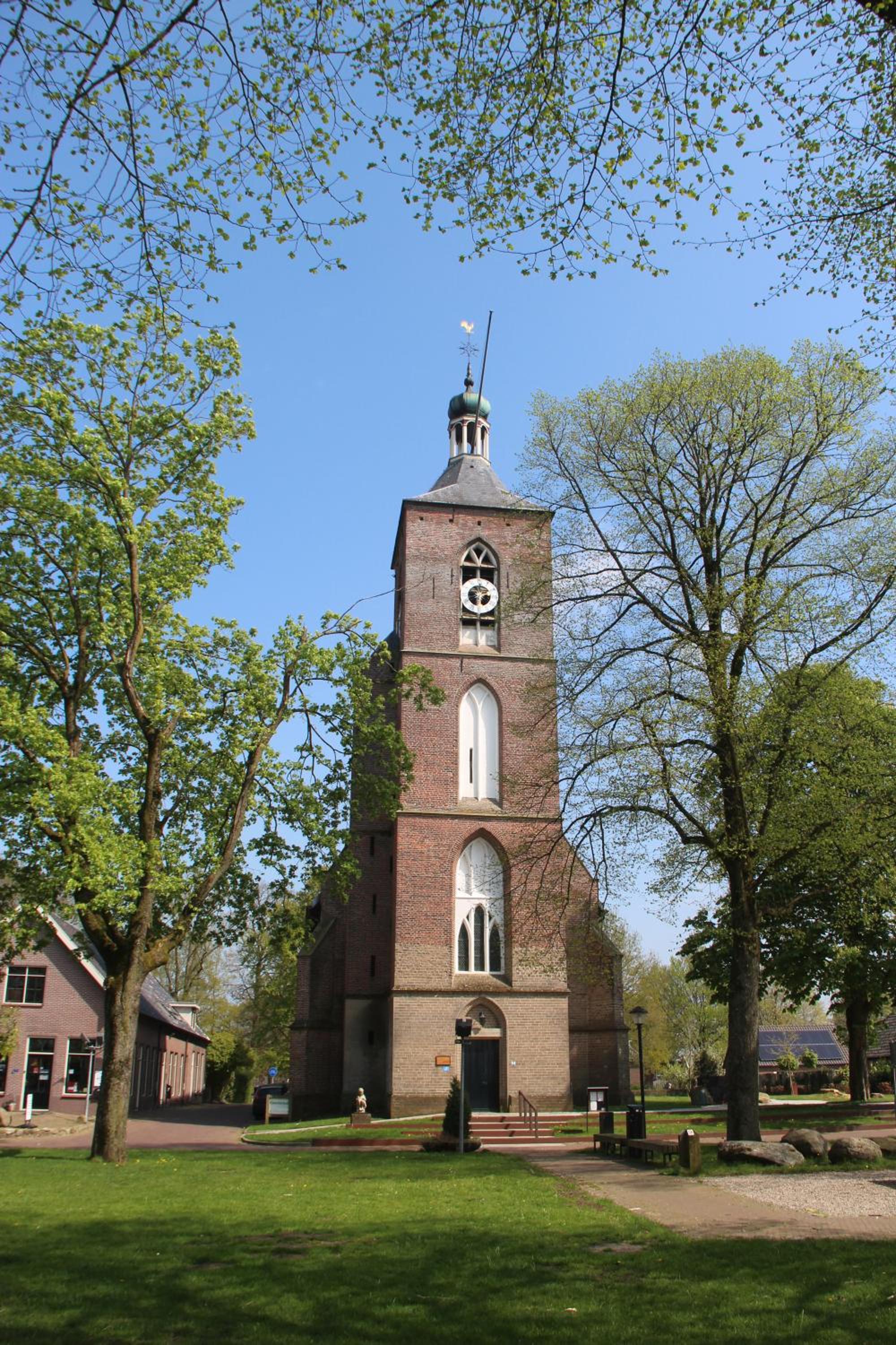Photo 11