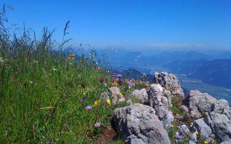 Gasthof Pension Alpenblick