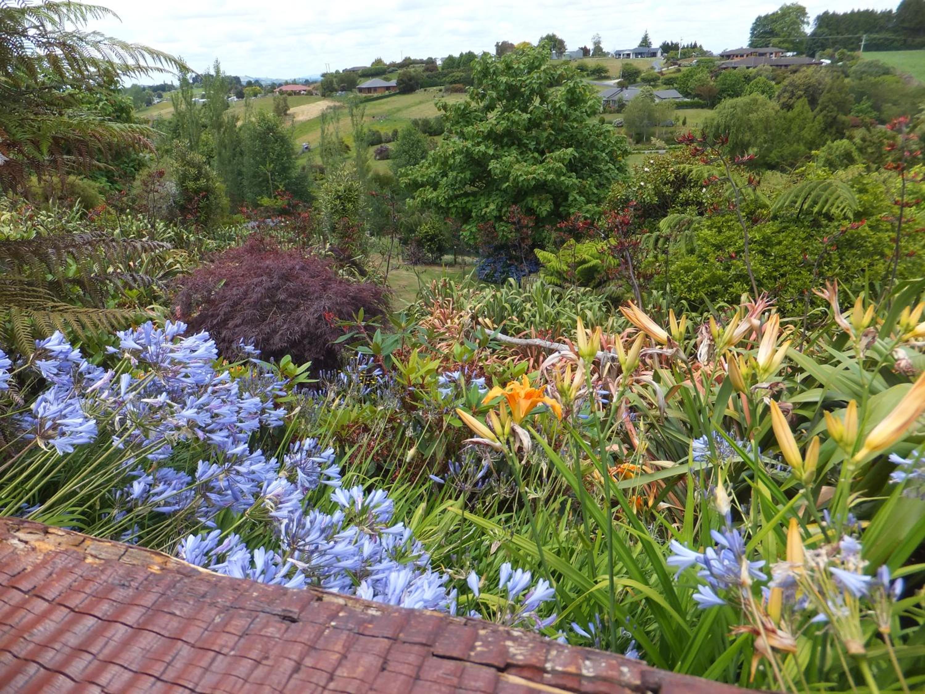Waitomo Golfstays B&B view 2