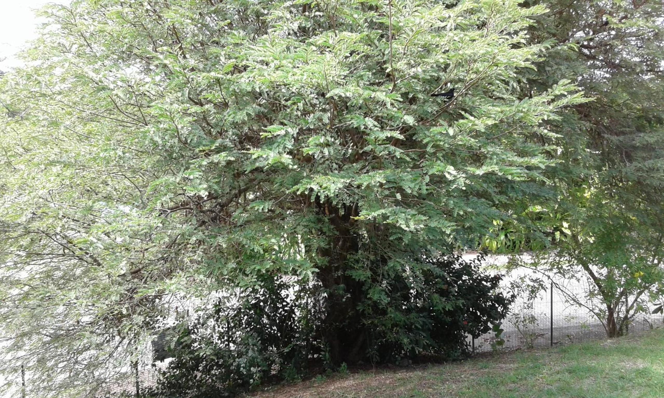Photo 28