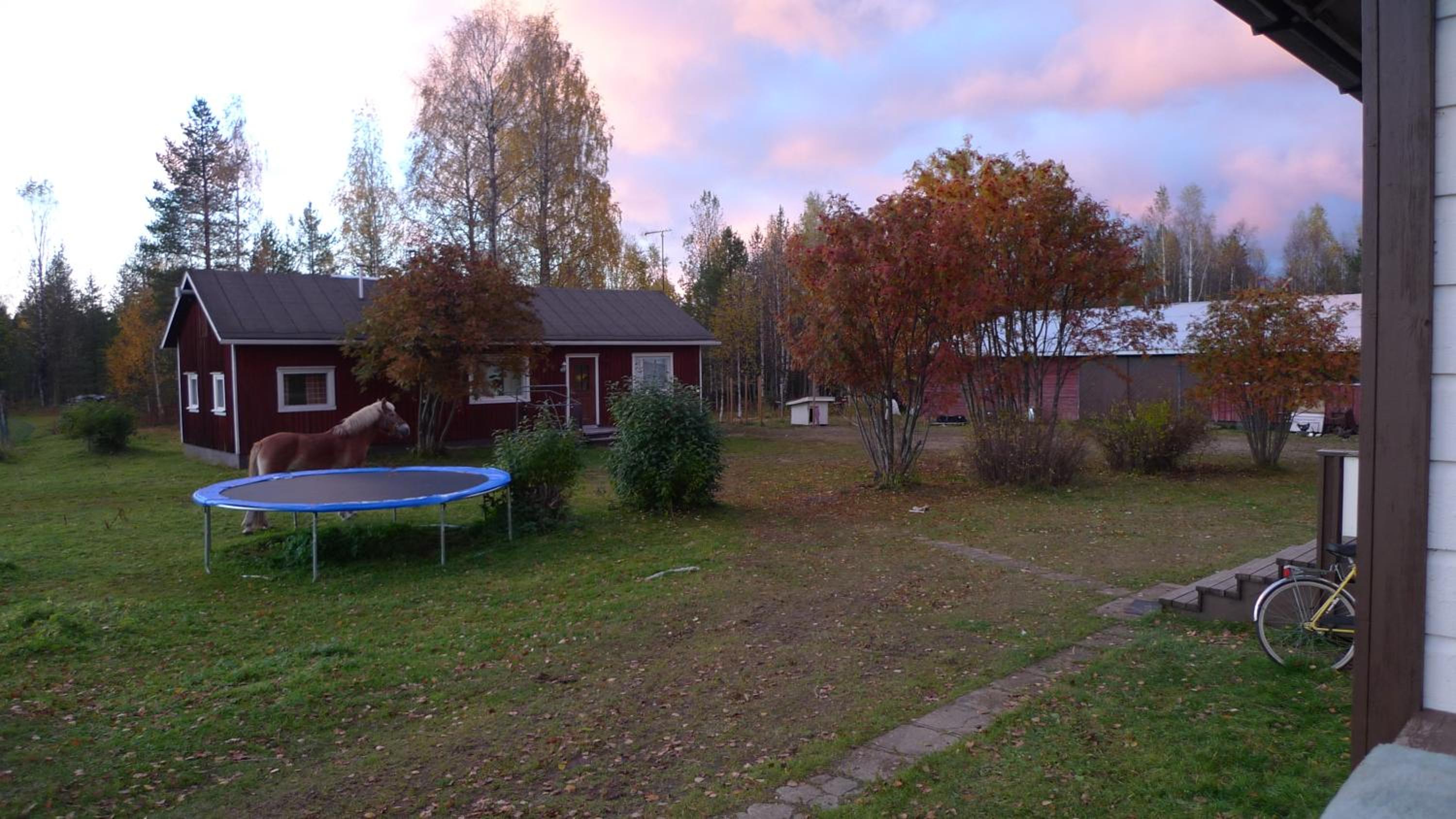 Heidin Mummola Farm view 2