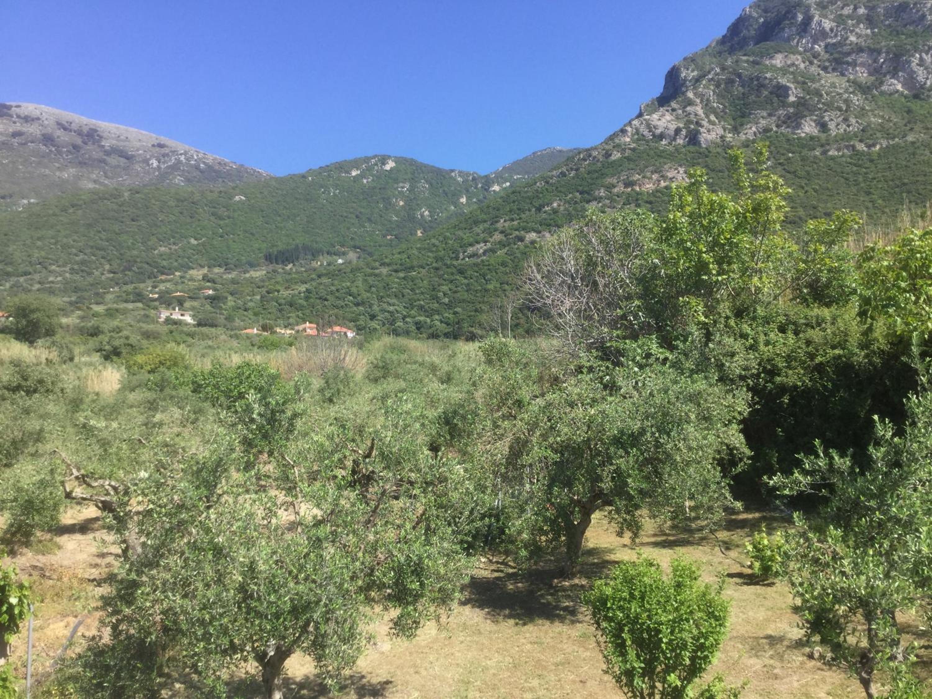 Photo 25