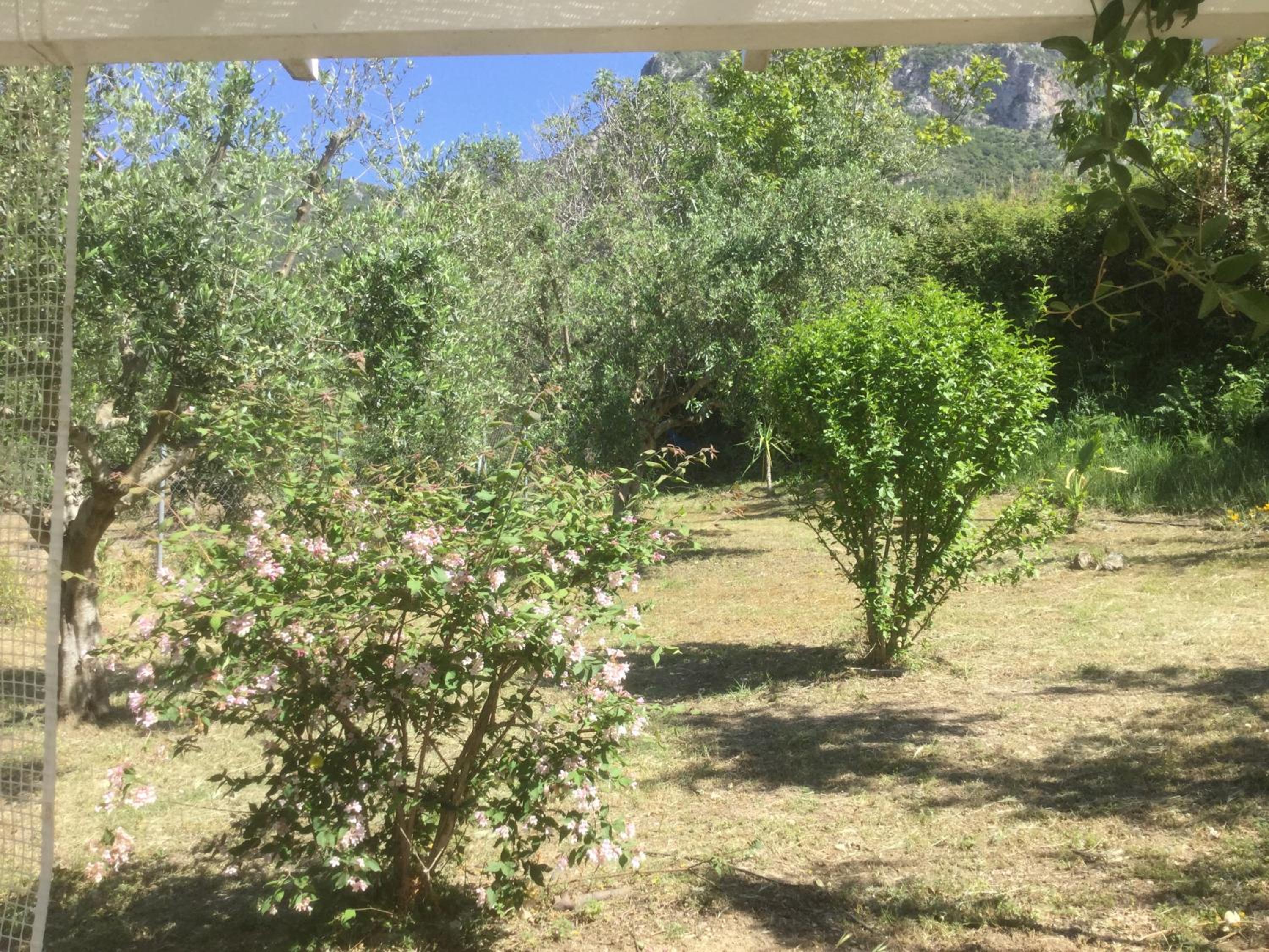 Photo 28