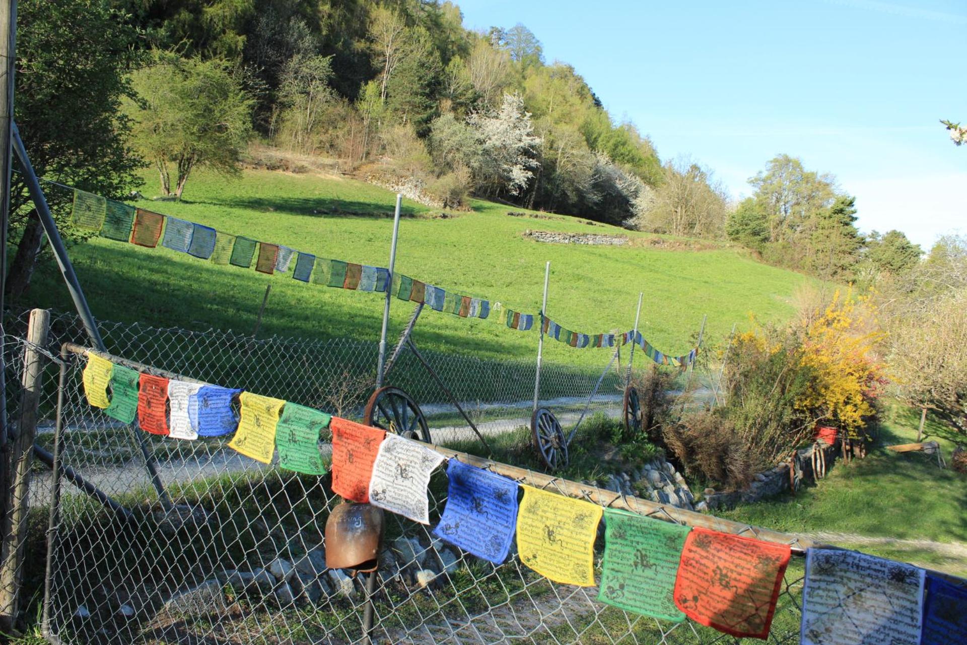 Domaine Bellevie BnB