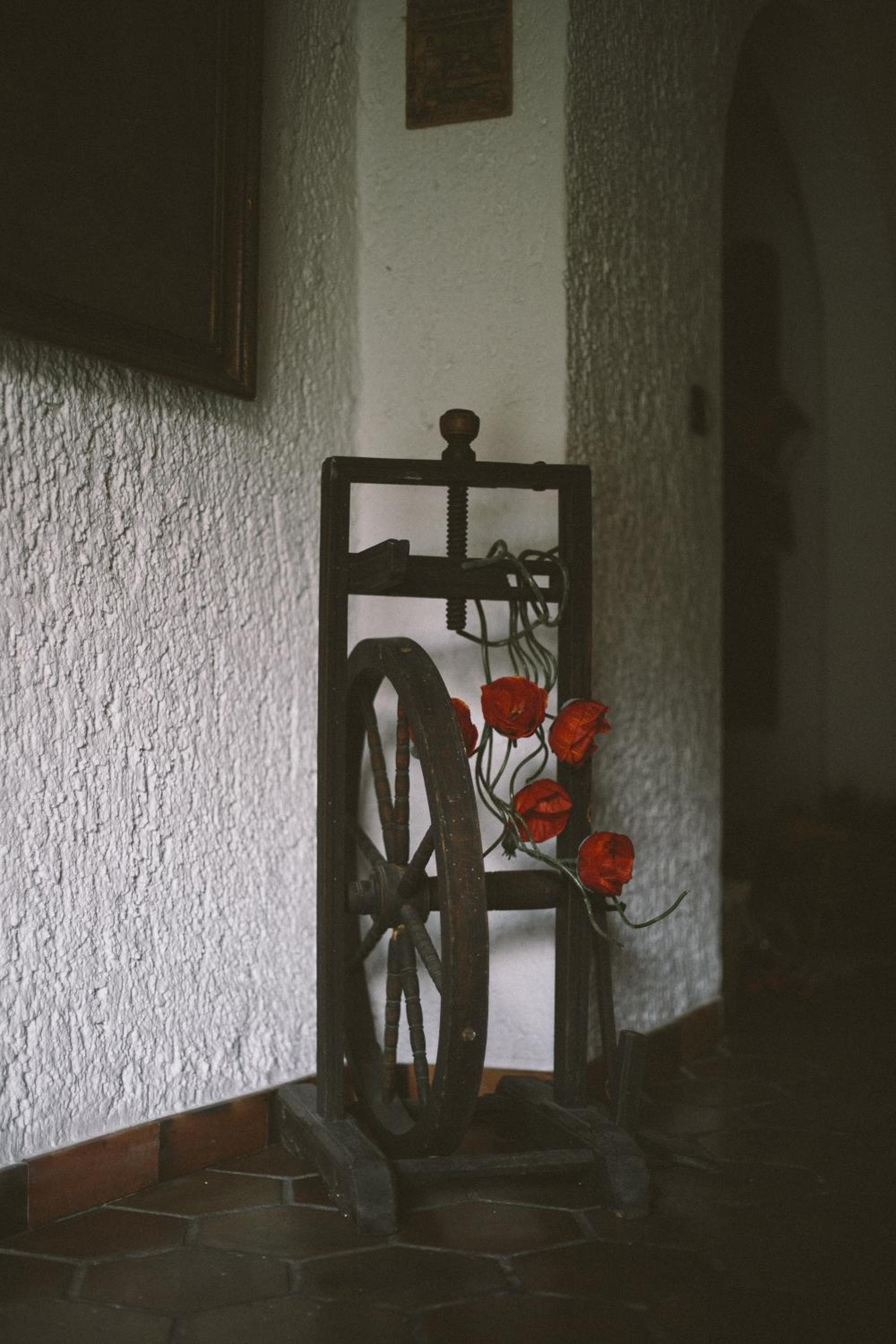 Photo 47