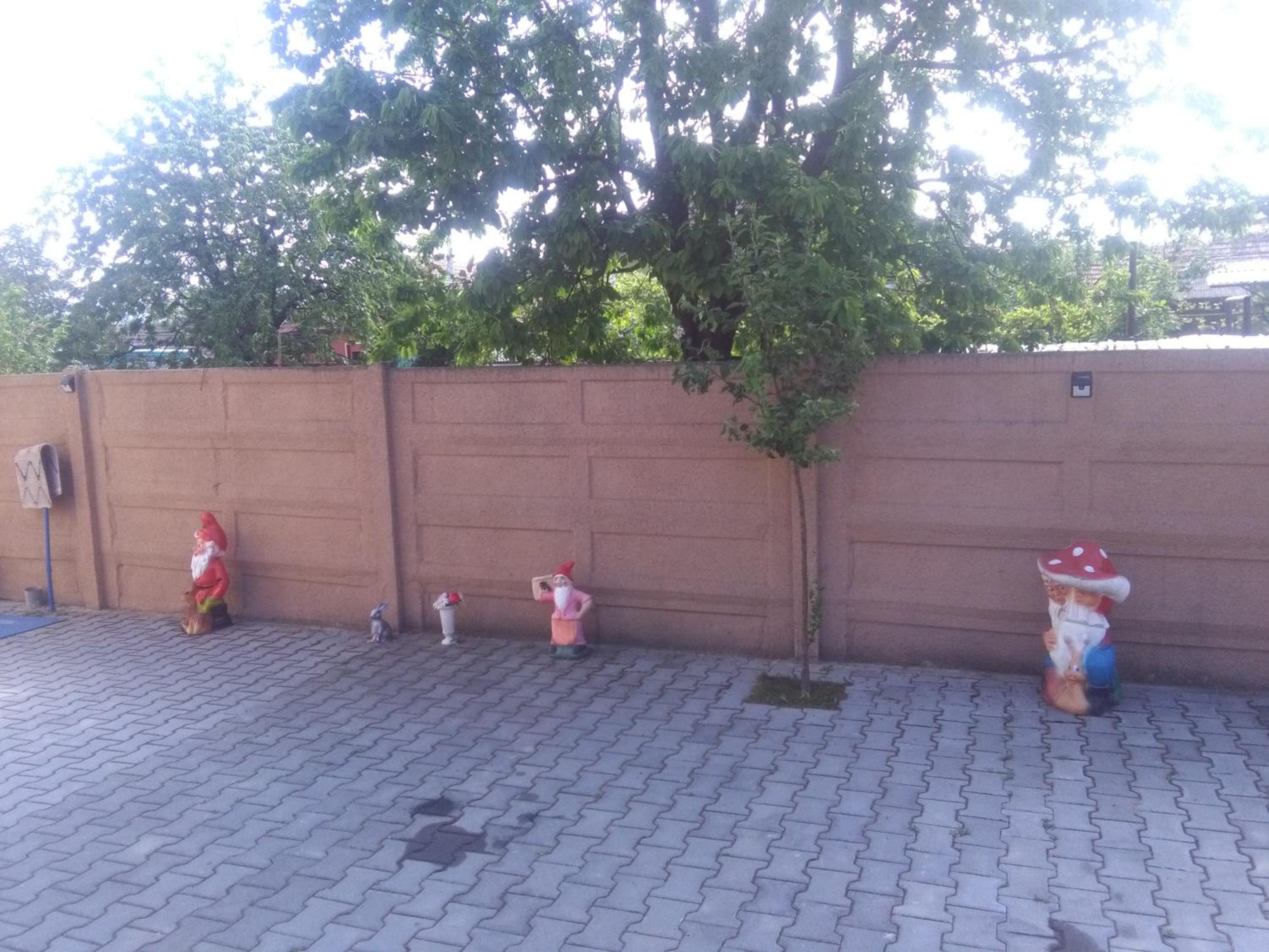 Photo 42