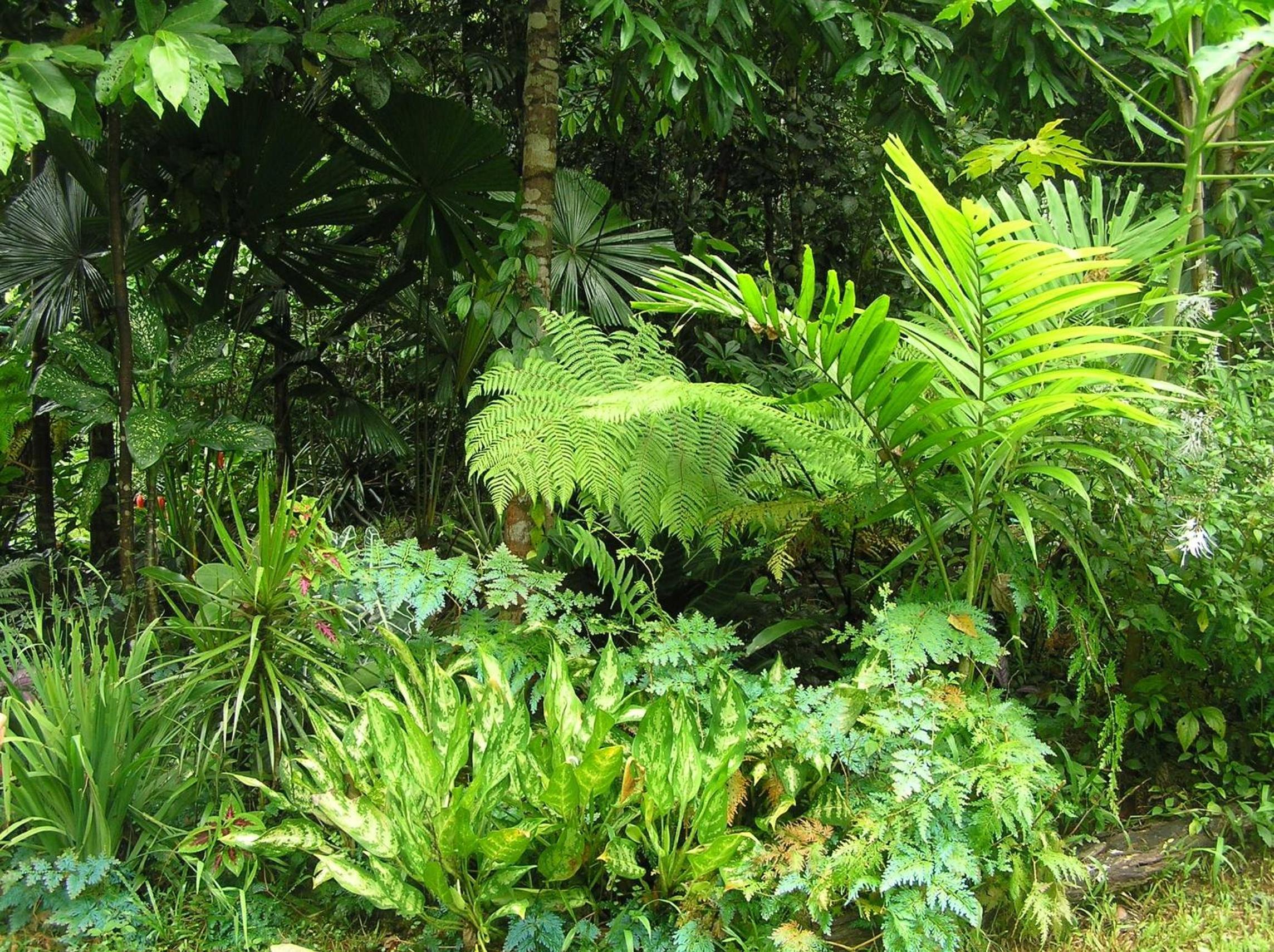 Epiphyte B & B