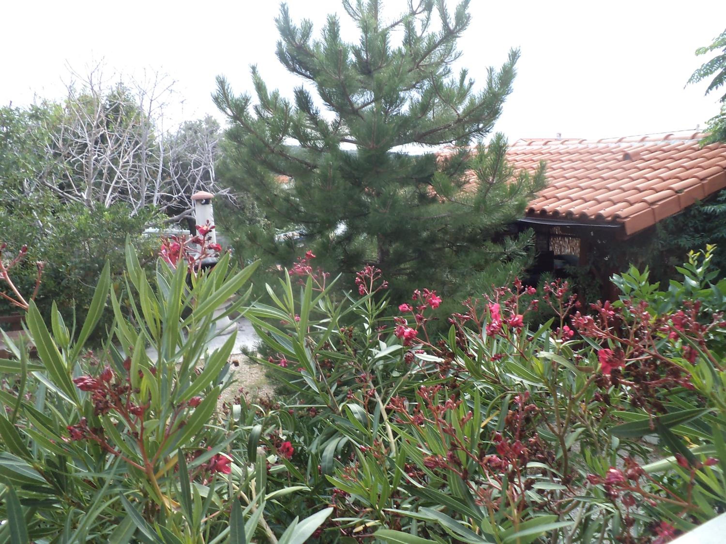 Photo 43