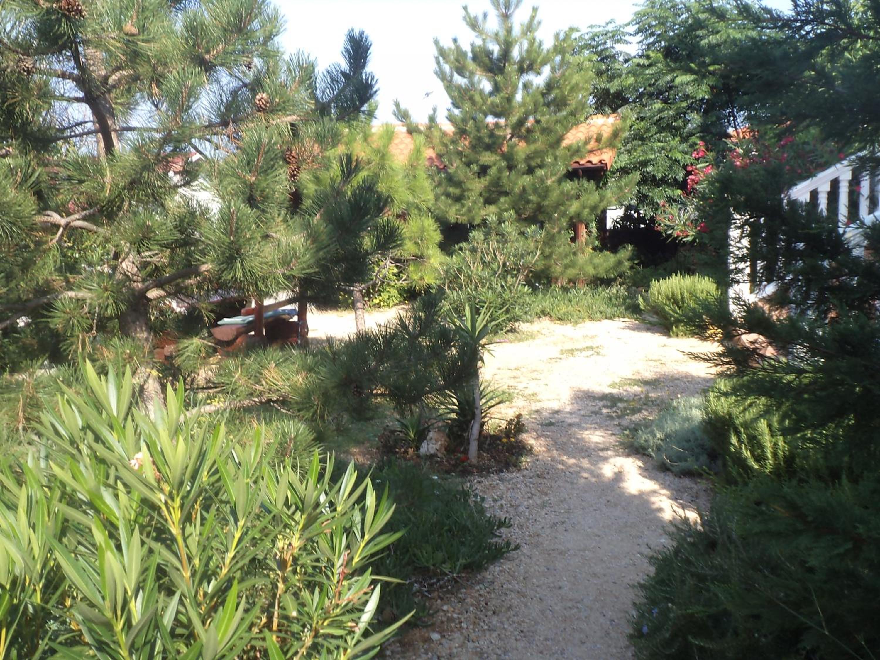 Photo 54