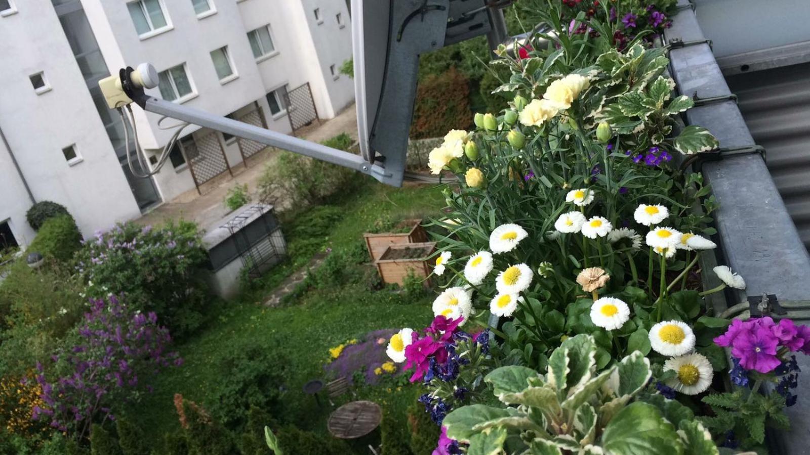 Private rooms IN WIEN