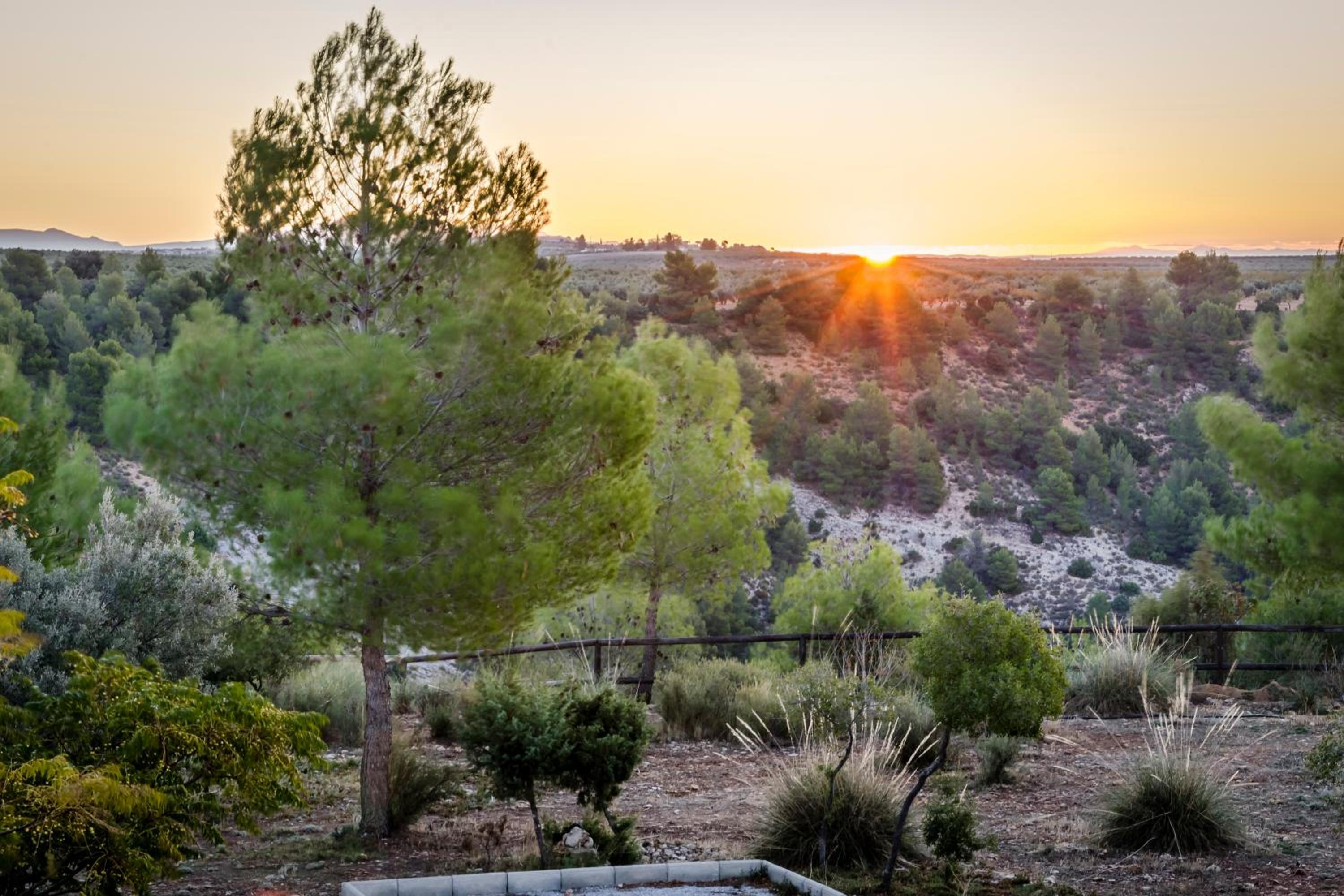 Hotel Rural Los Nogales - Property Image 34