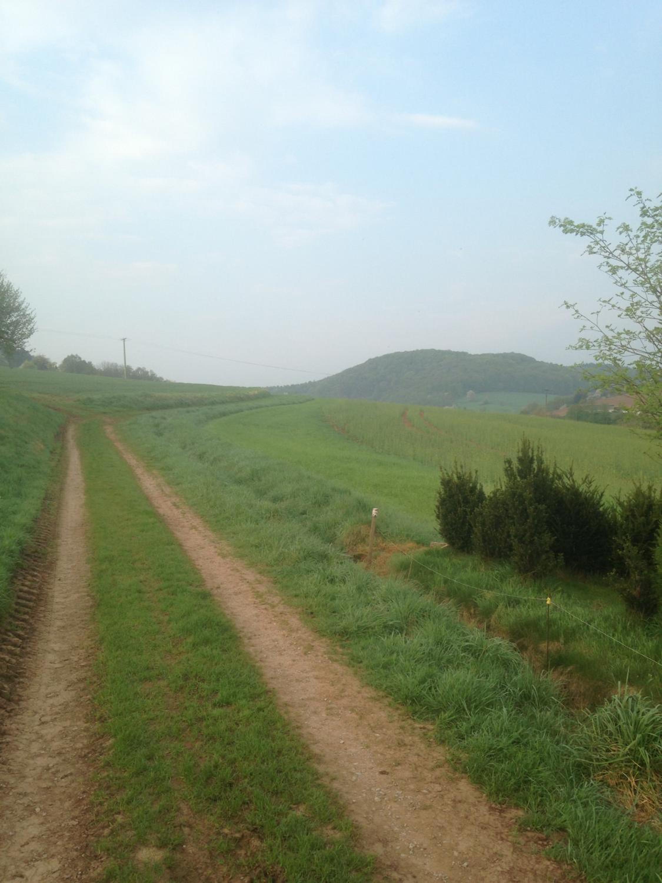 Josefine view 4