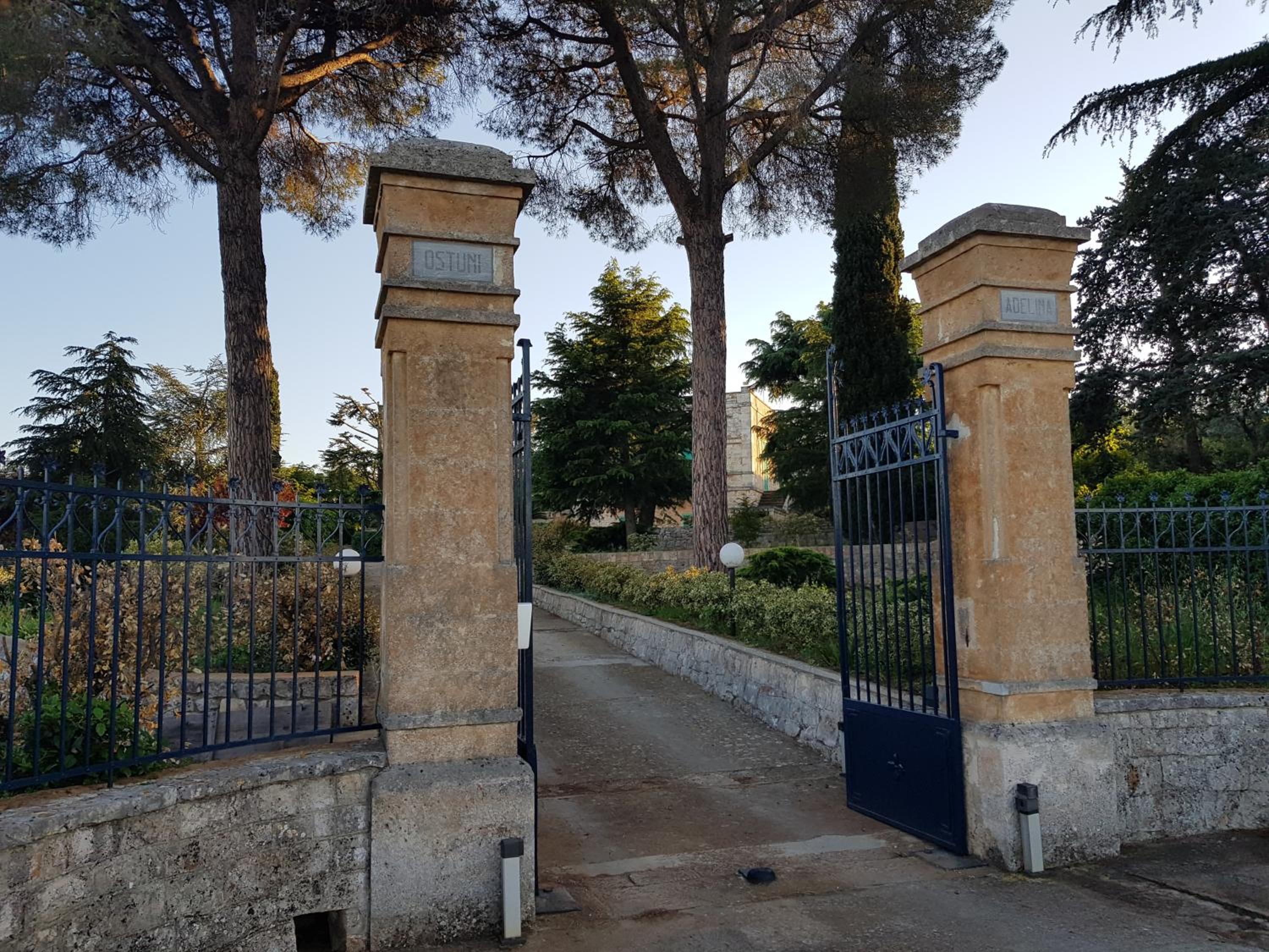 Photo 25