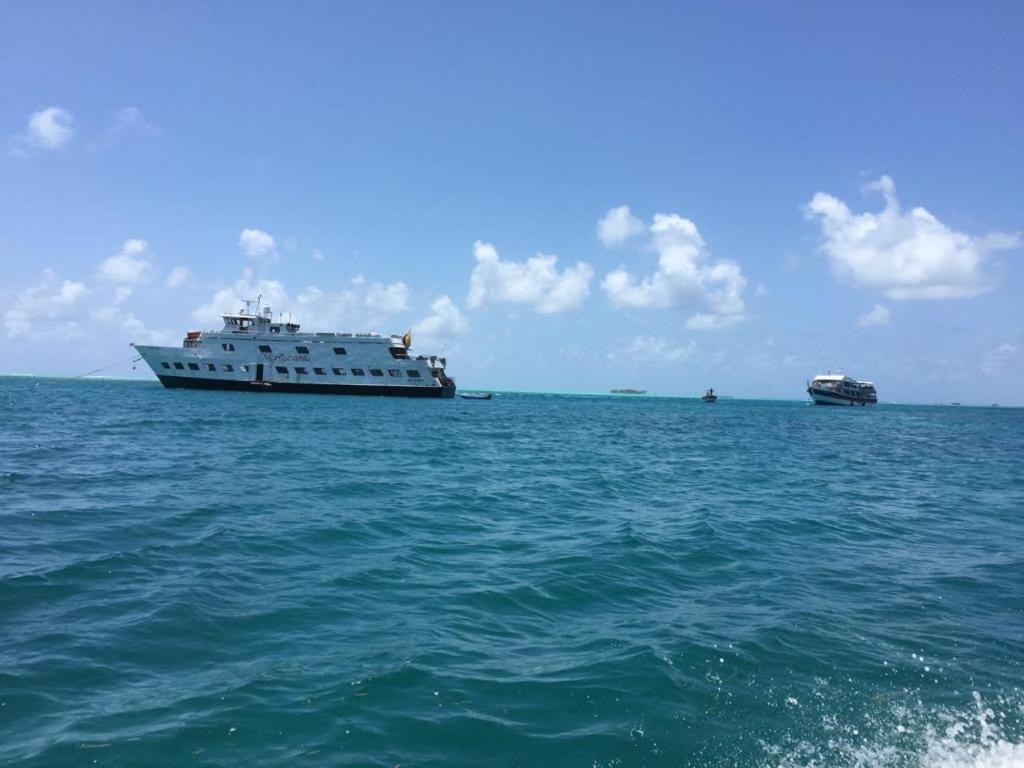 Photo 40