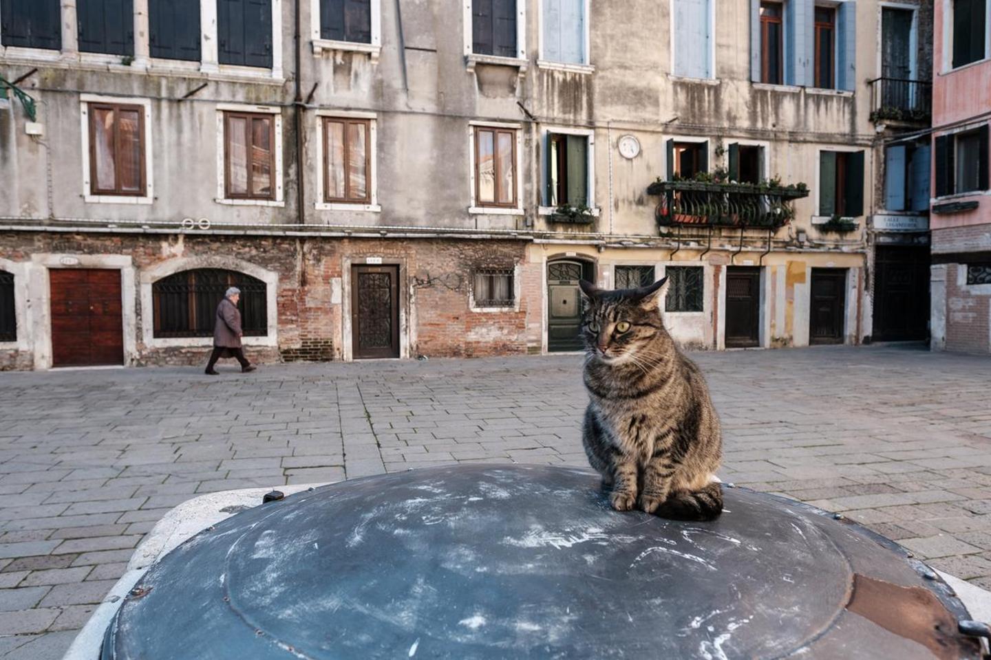 Melusina Ca' Bernarda Venice Historical Center