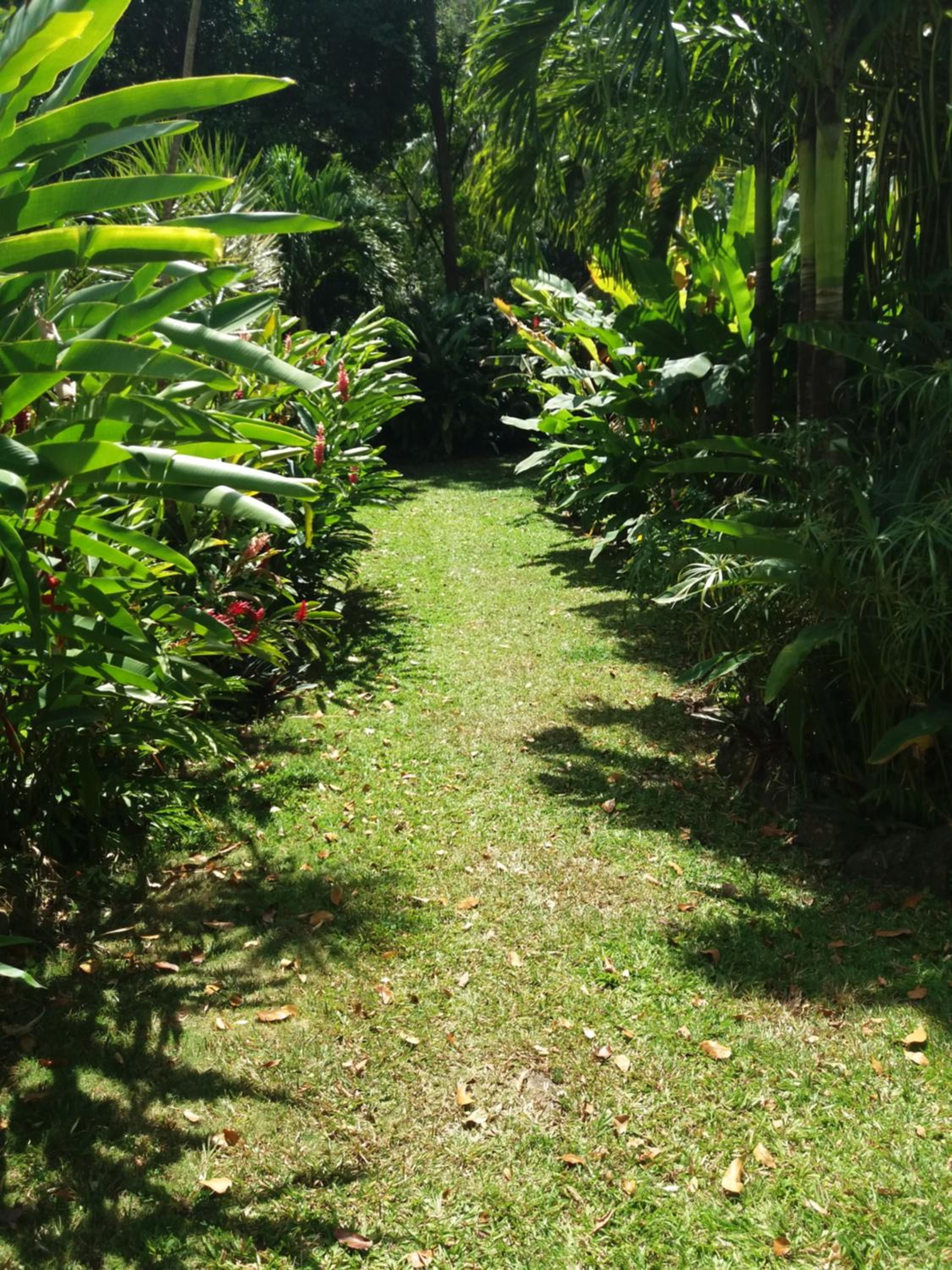 Photo 33