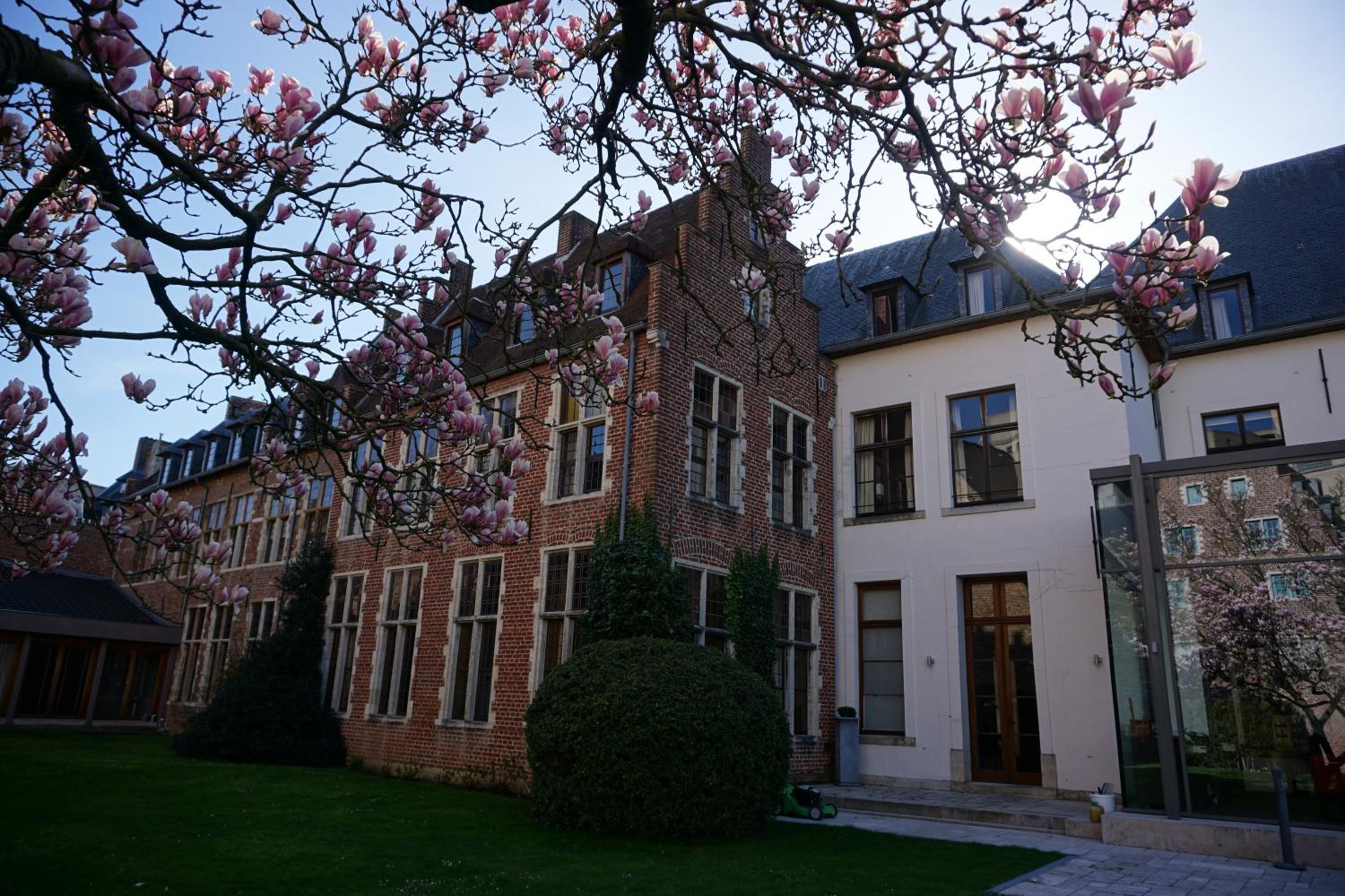 Leuven Vacations - Martin's Klooster - Property Image 12