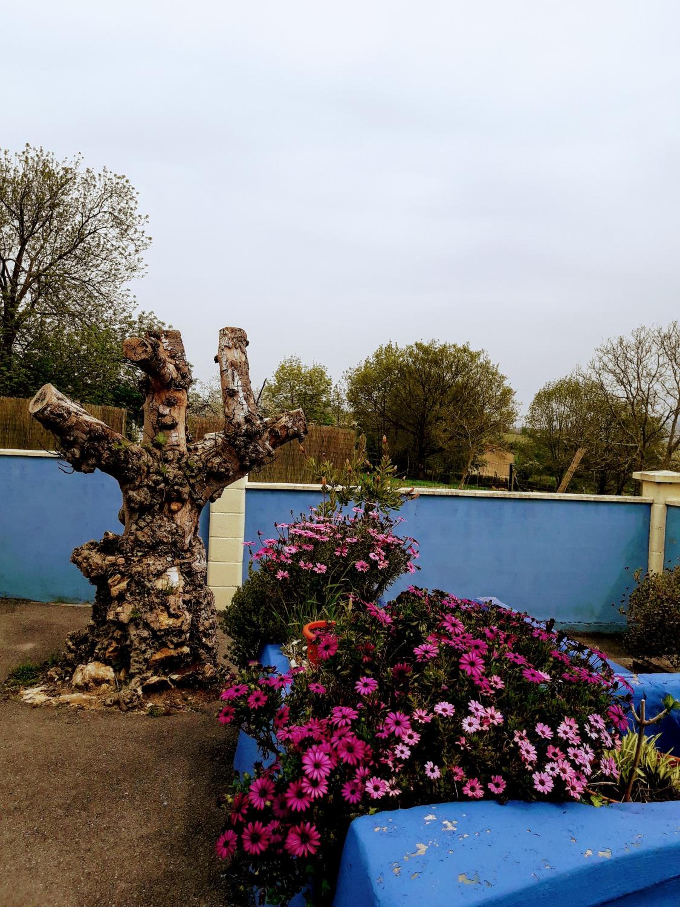Photo 27