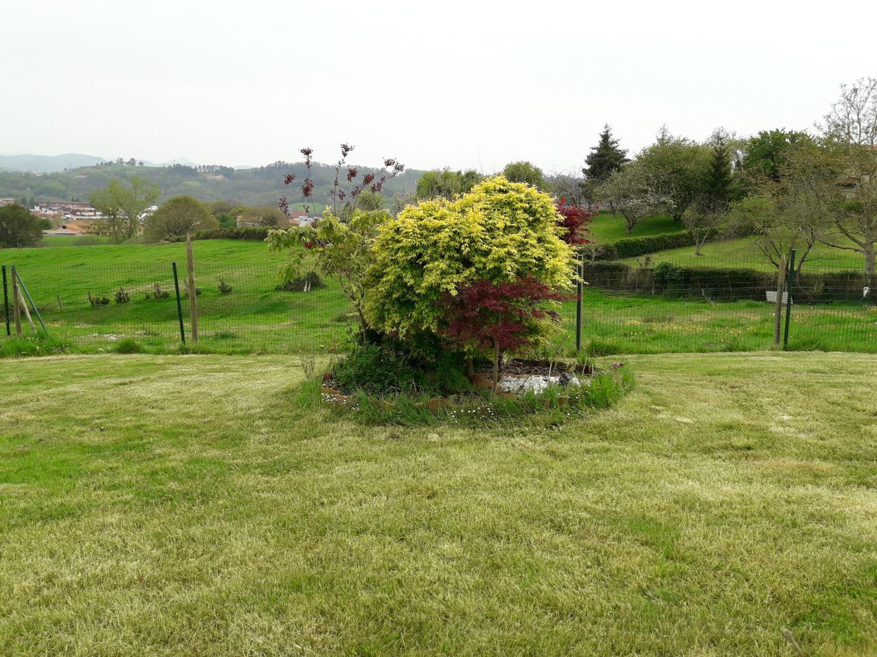 Photo 26