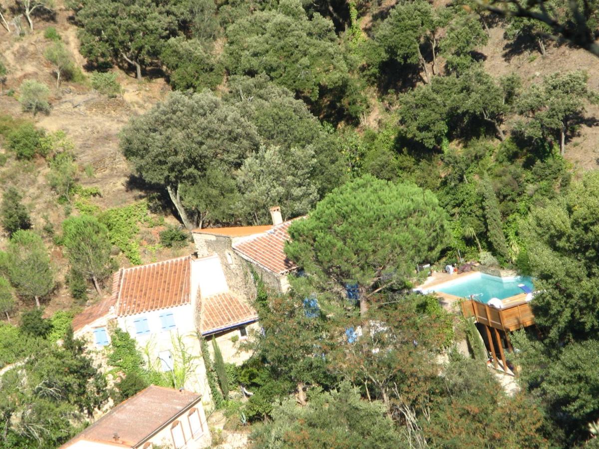 L'Oliveraie des 3 Mas view 5