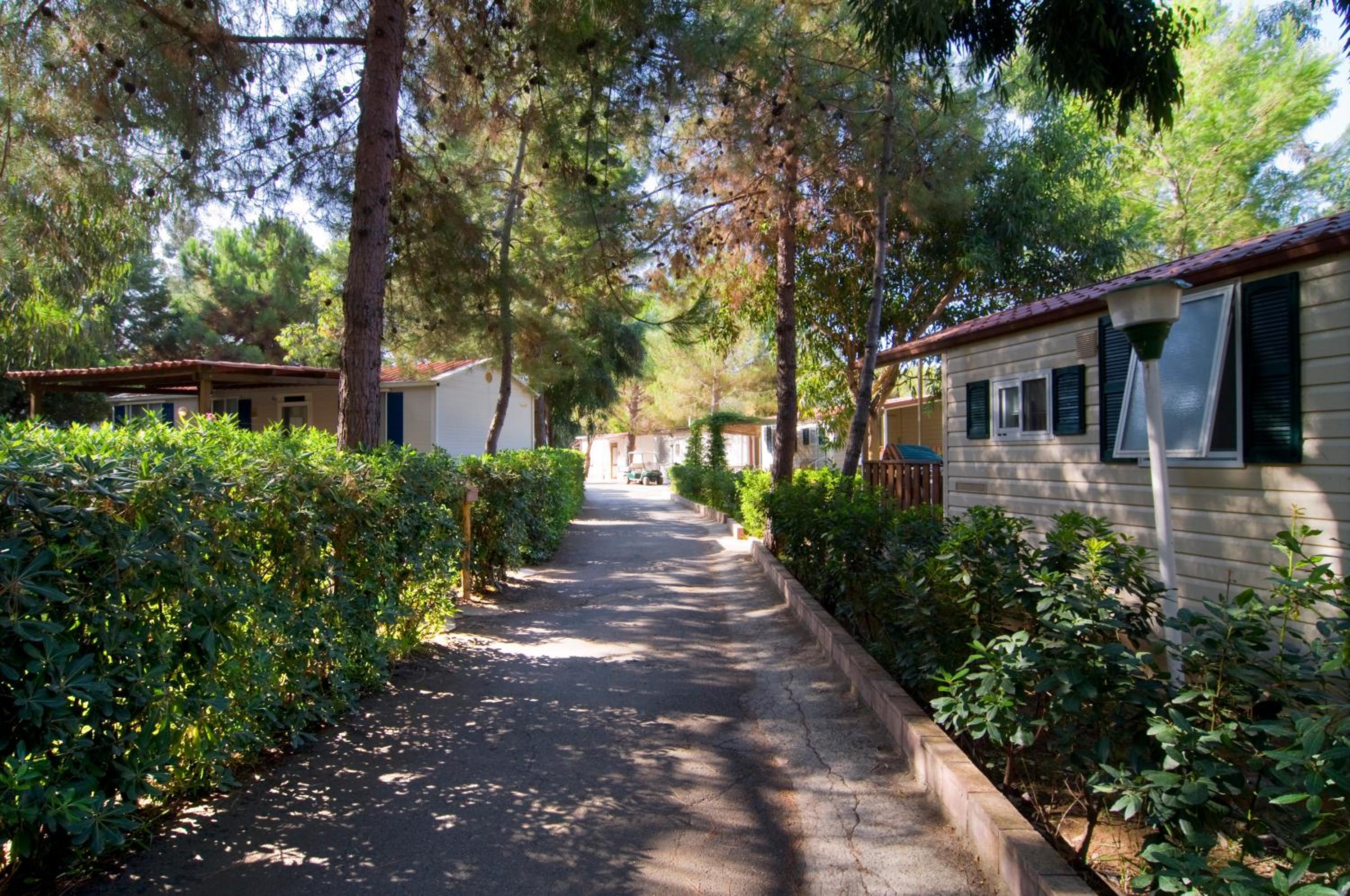 Villaggio Camping Odissea view 3