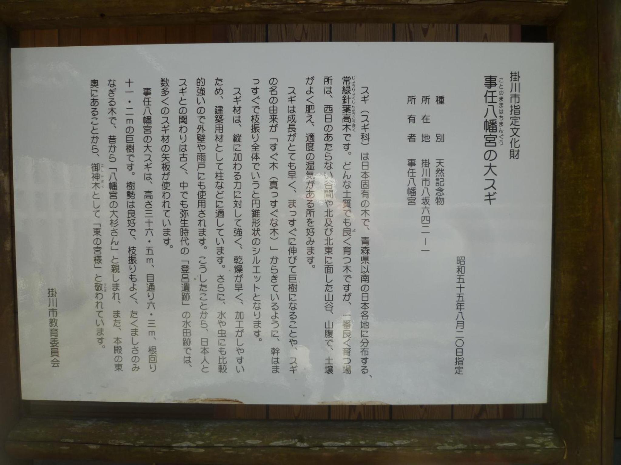 Photo 30