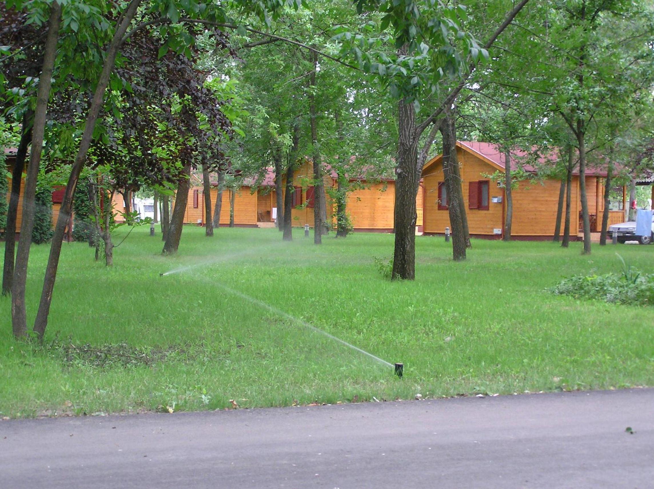 Photo 35