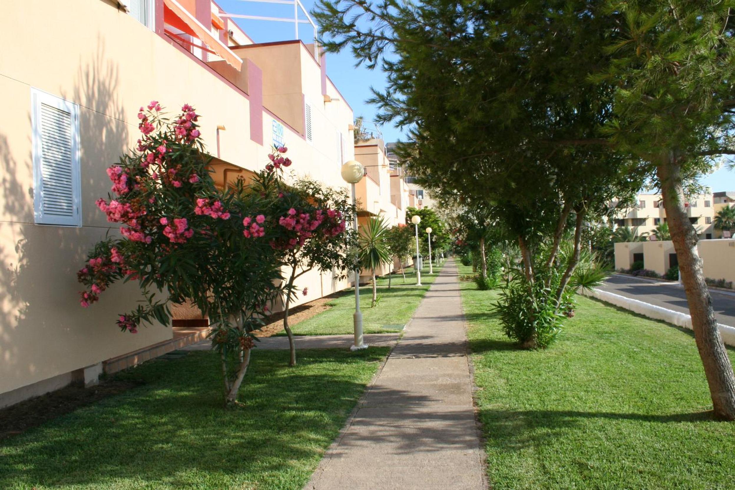 Inmovecos apart con piscina Alisios 227