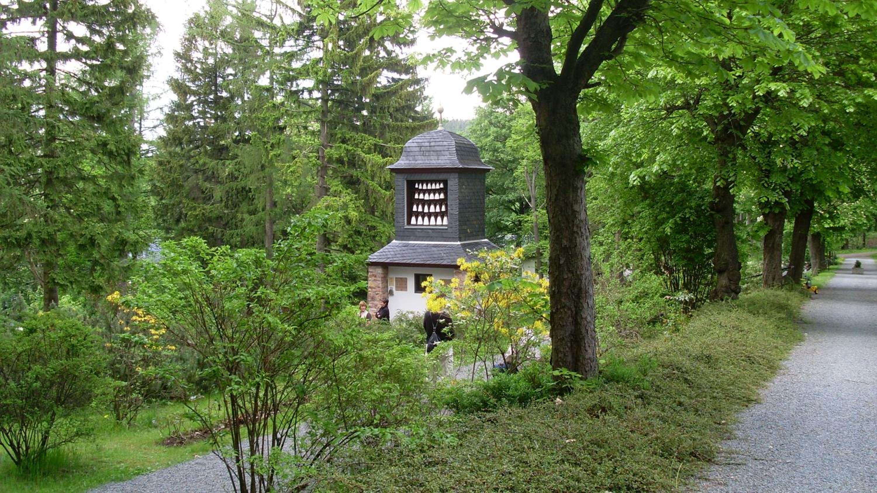 Photo 22
