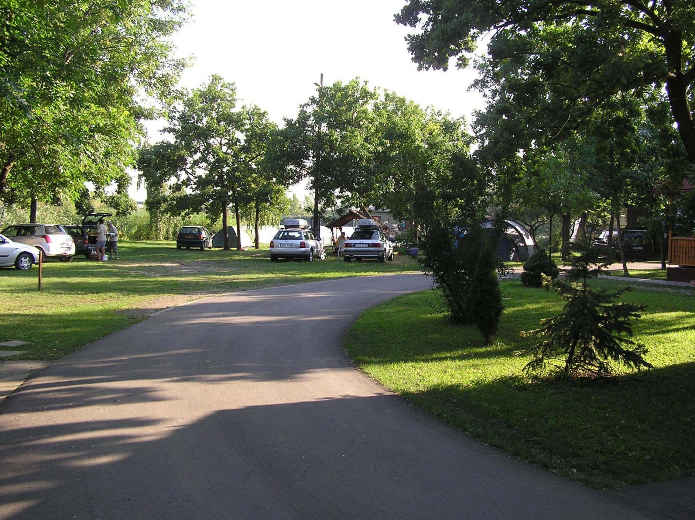 Photo 32