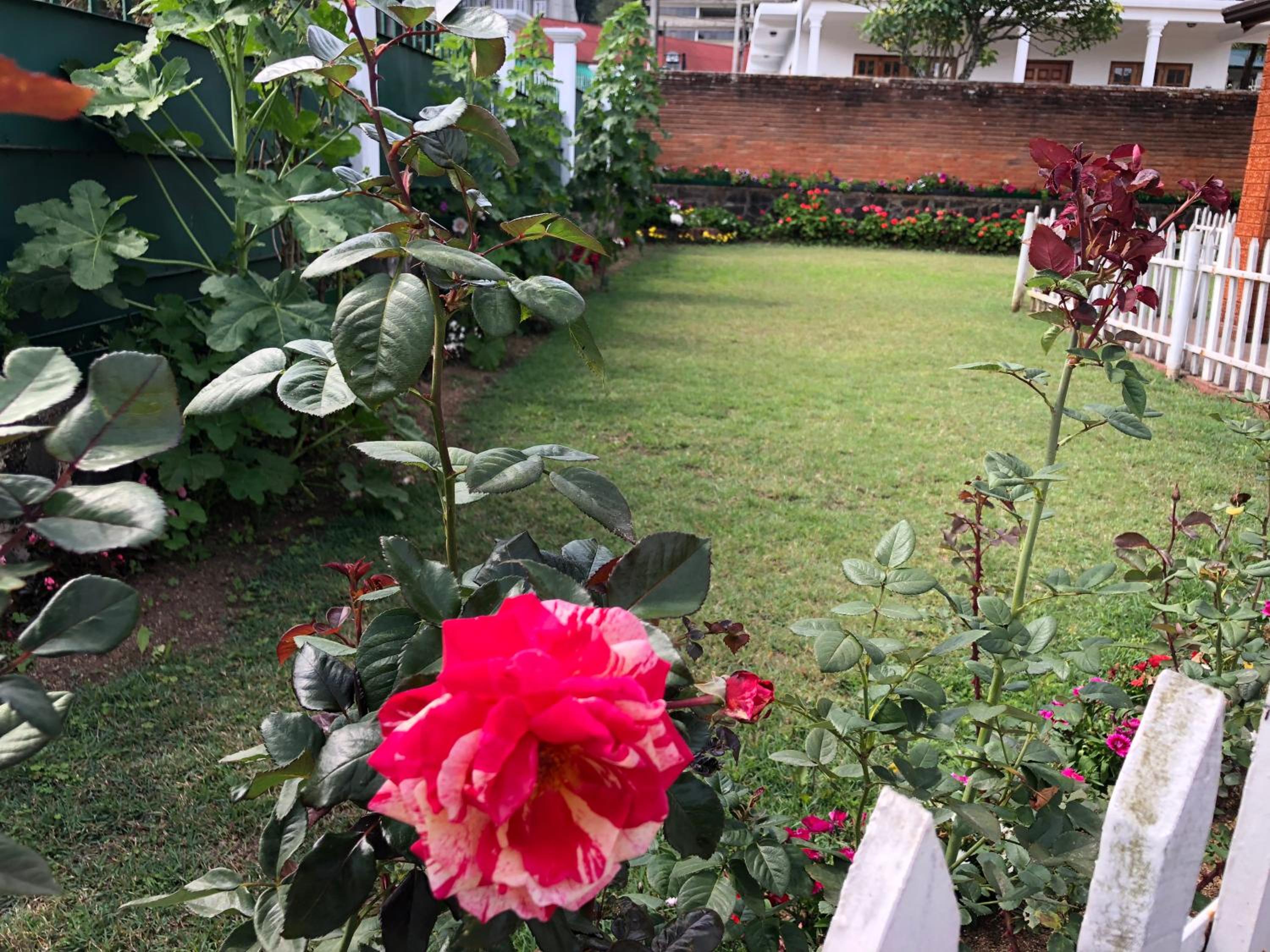 Bungalow 28 view 2