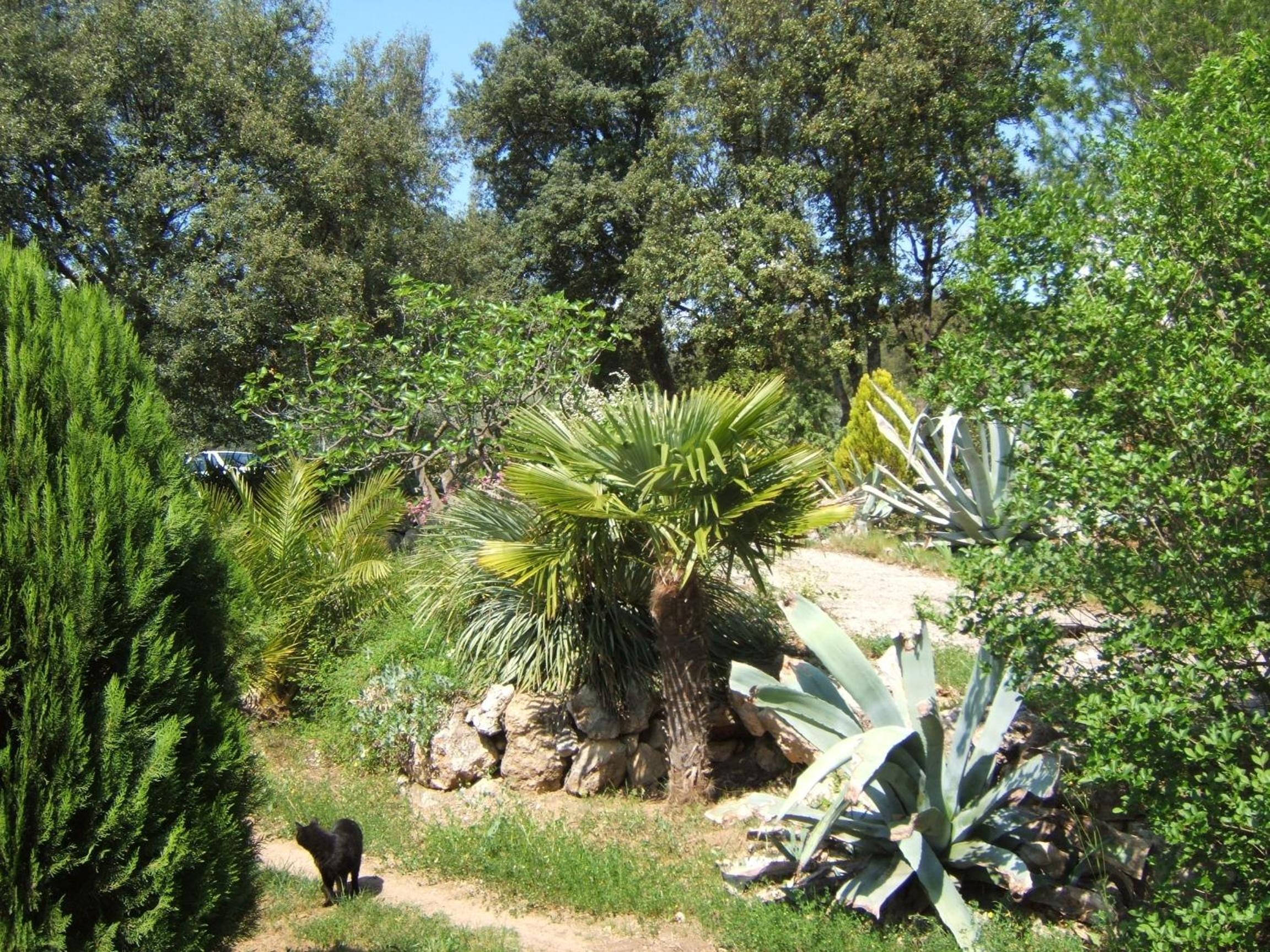 Photo 20