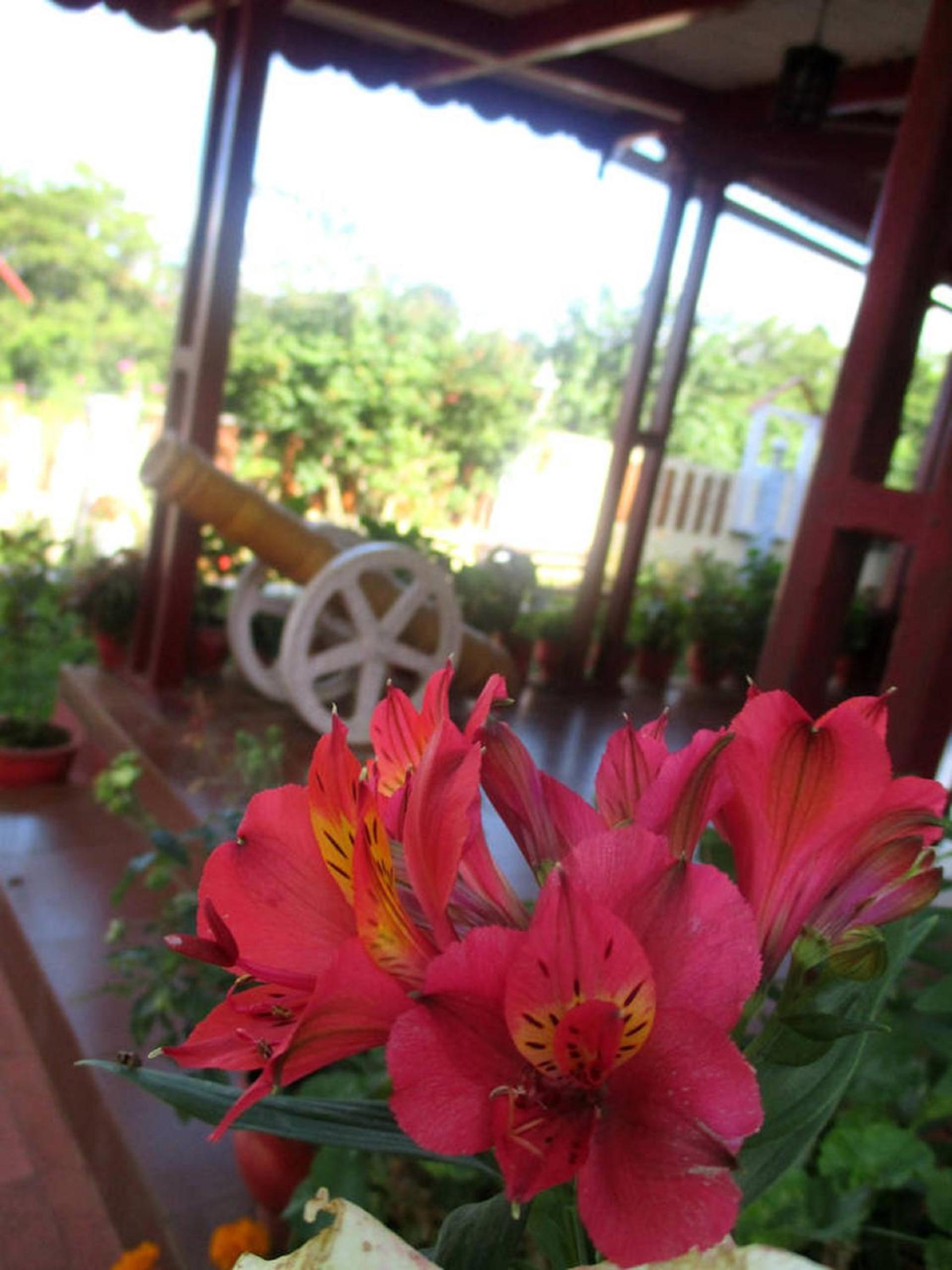 Photo 46
