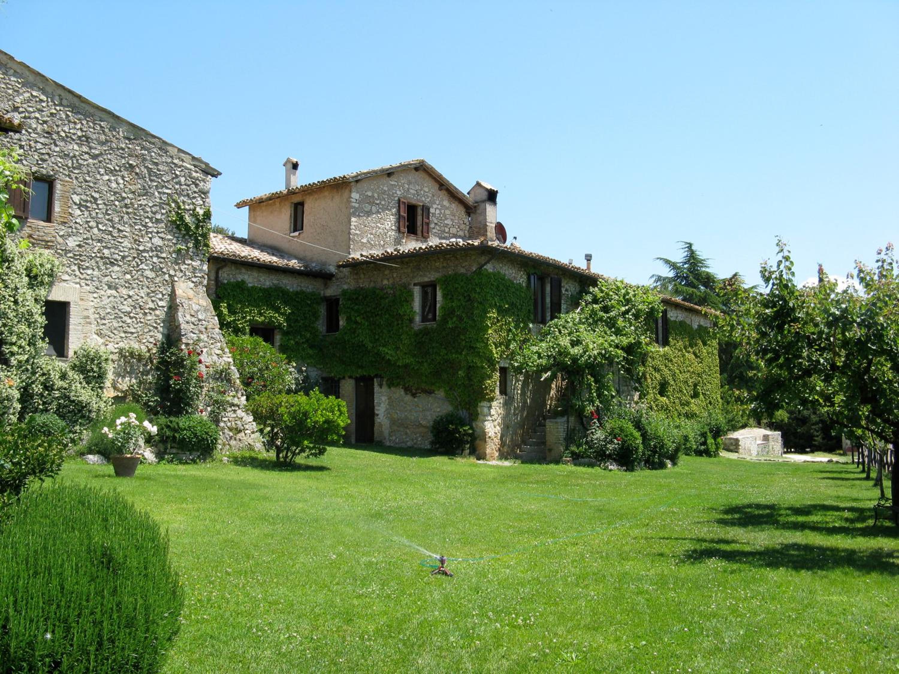 Photo 12