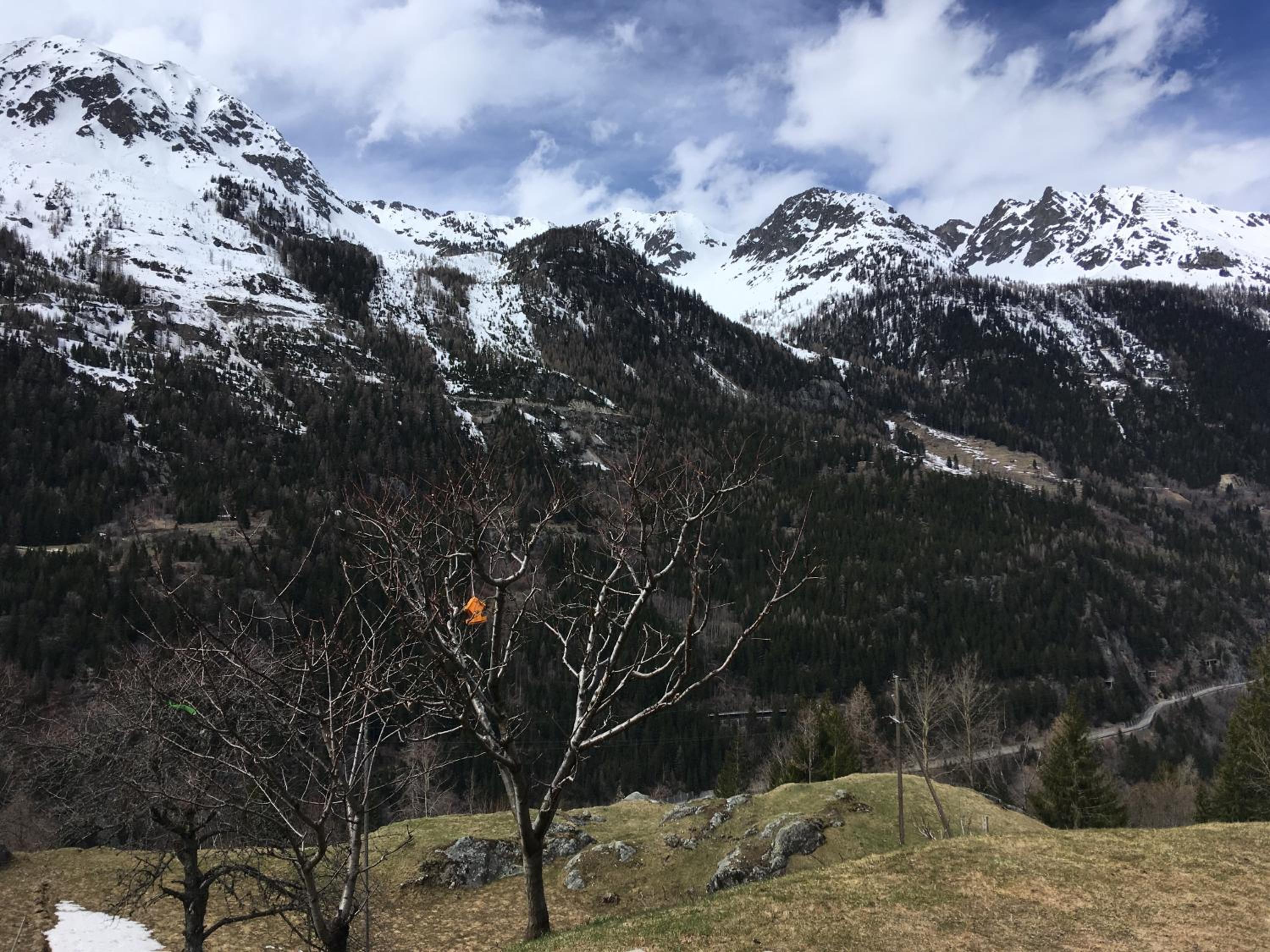 Photo 19