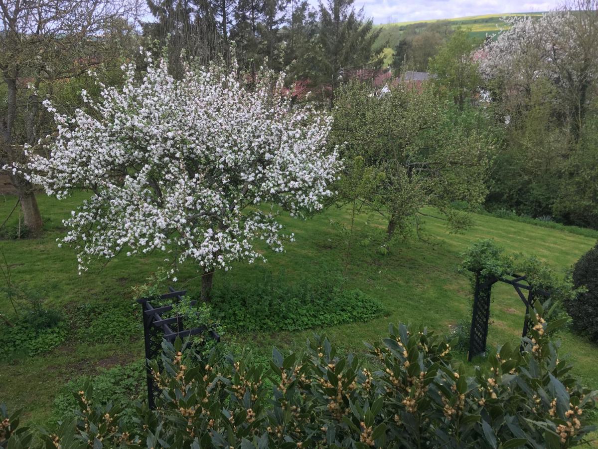 Le Clos Dessyag