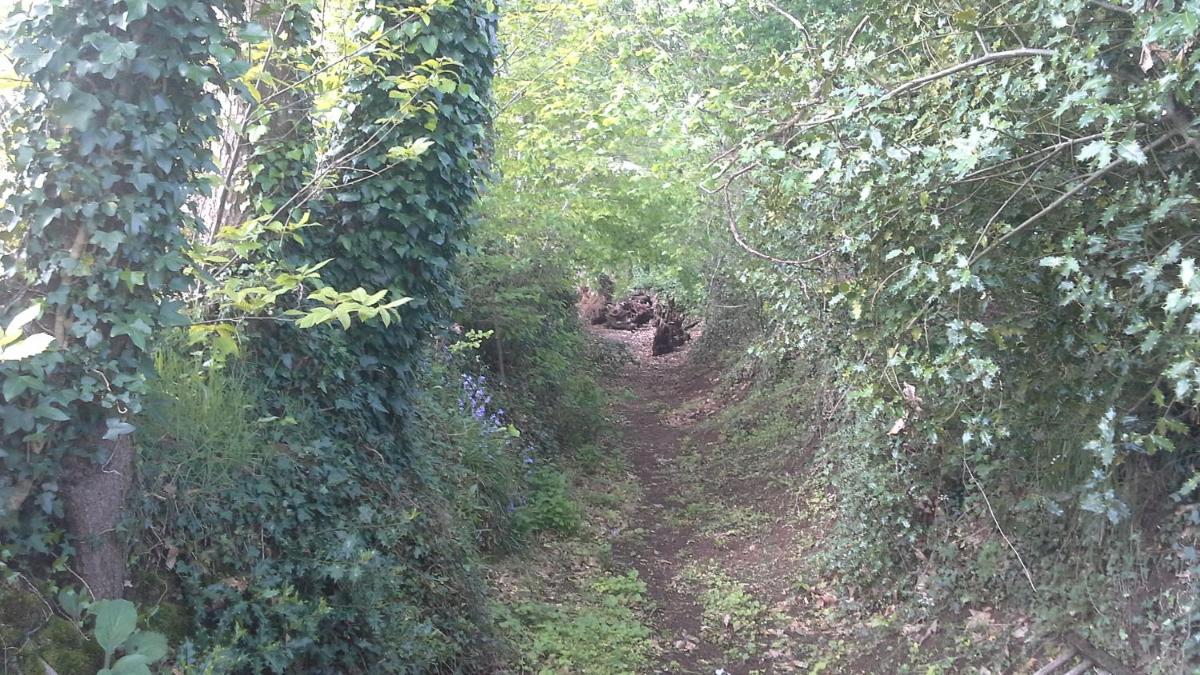 Photo 22
