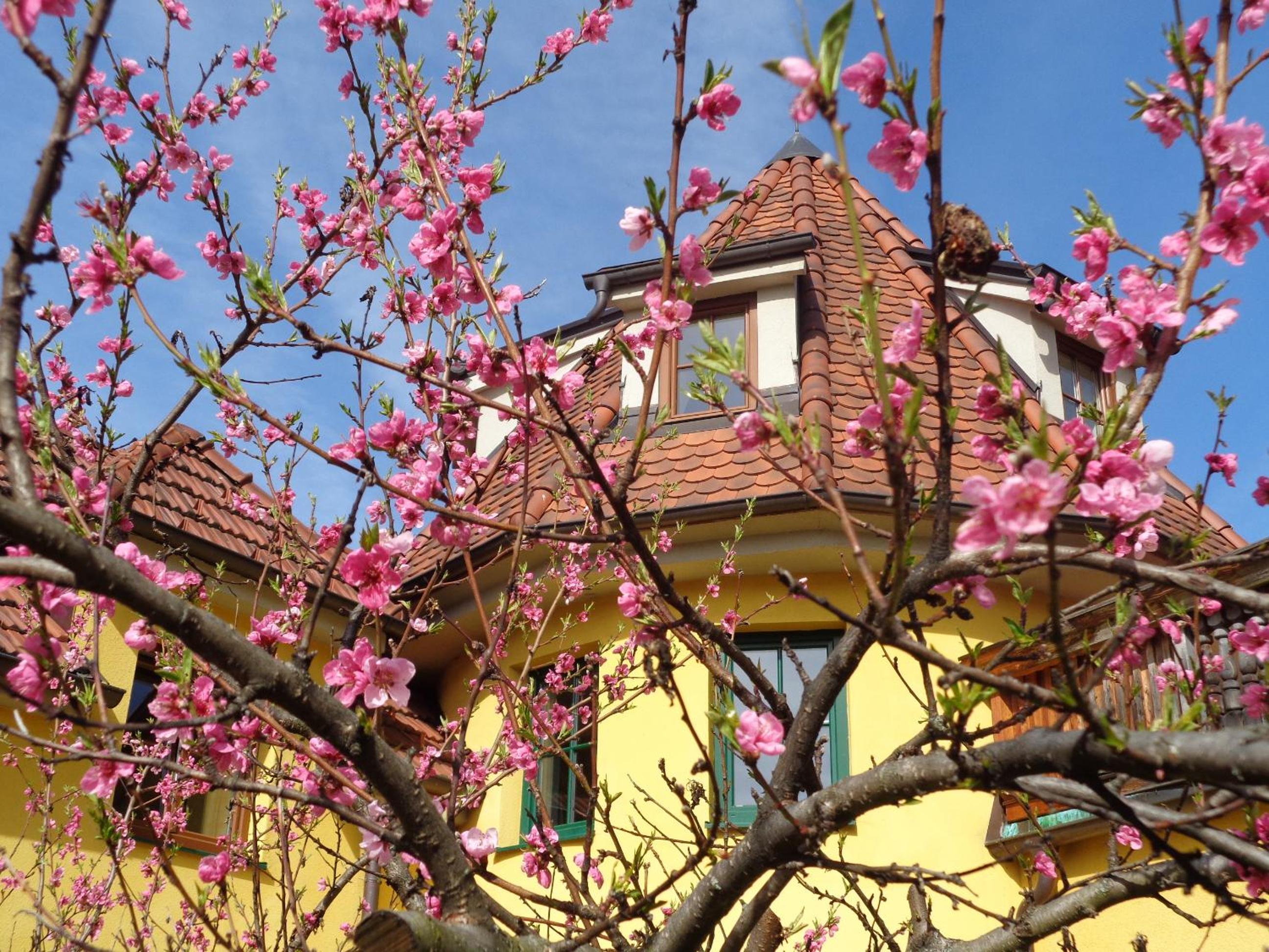 Pension Himmelreich