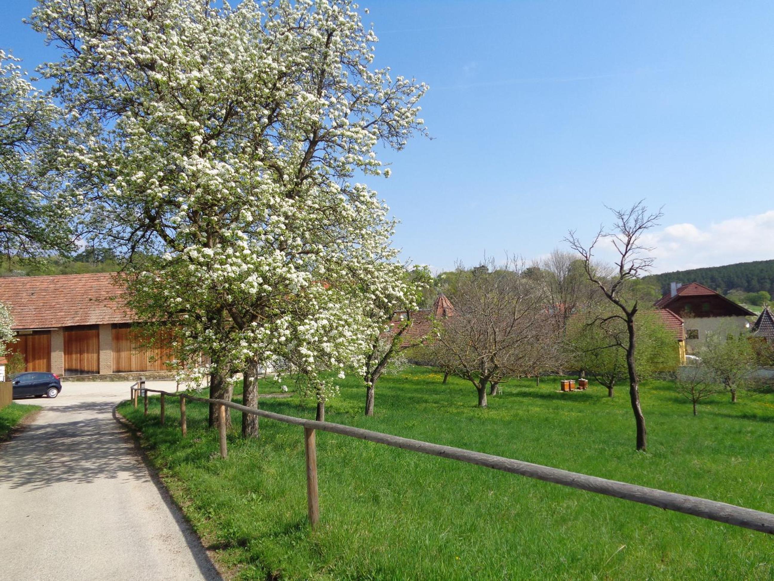 Pension Himmelreich