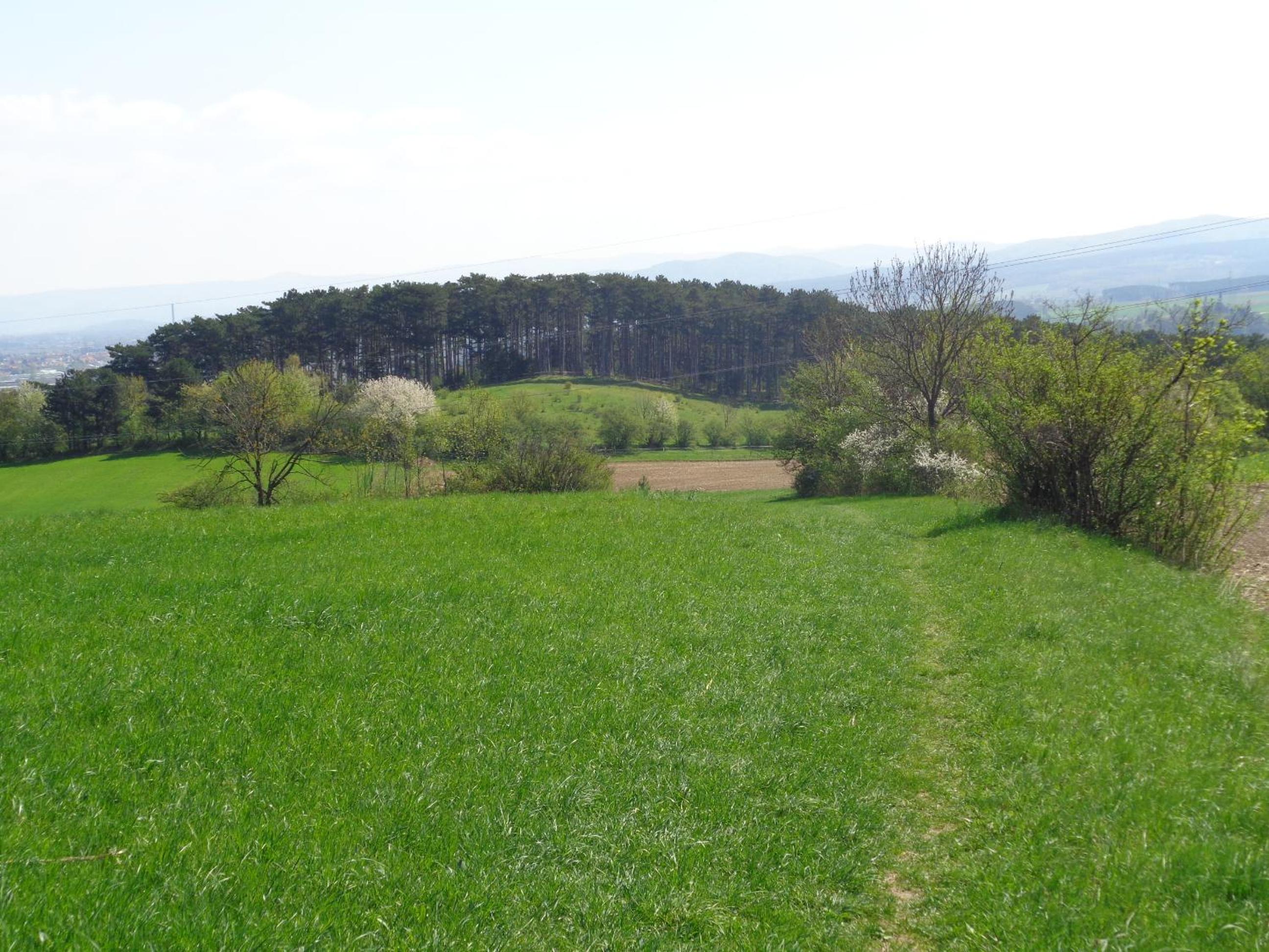Pension Himmelreich