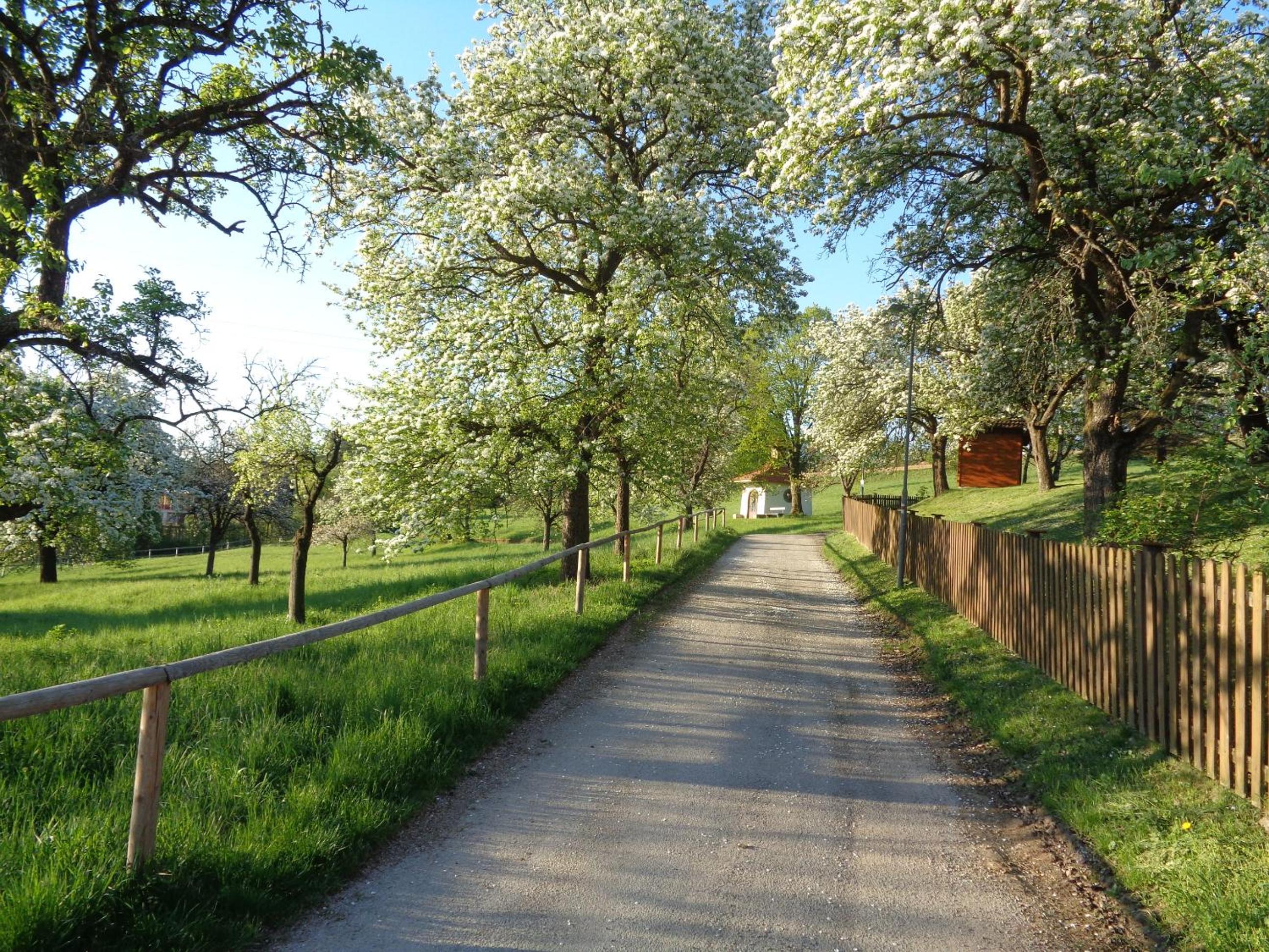 Pension Himmelreich