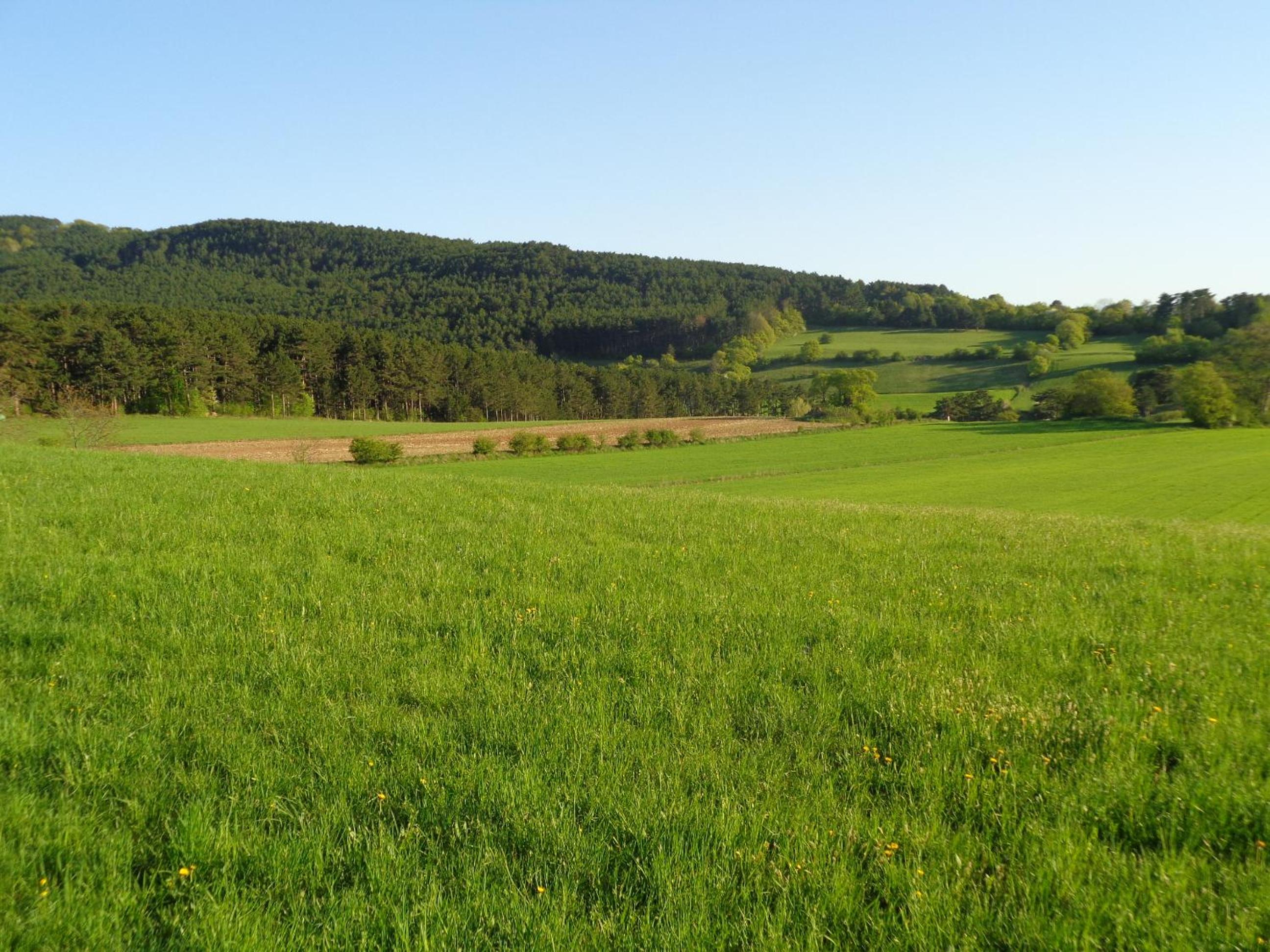 Pension Himmelreich