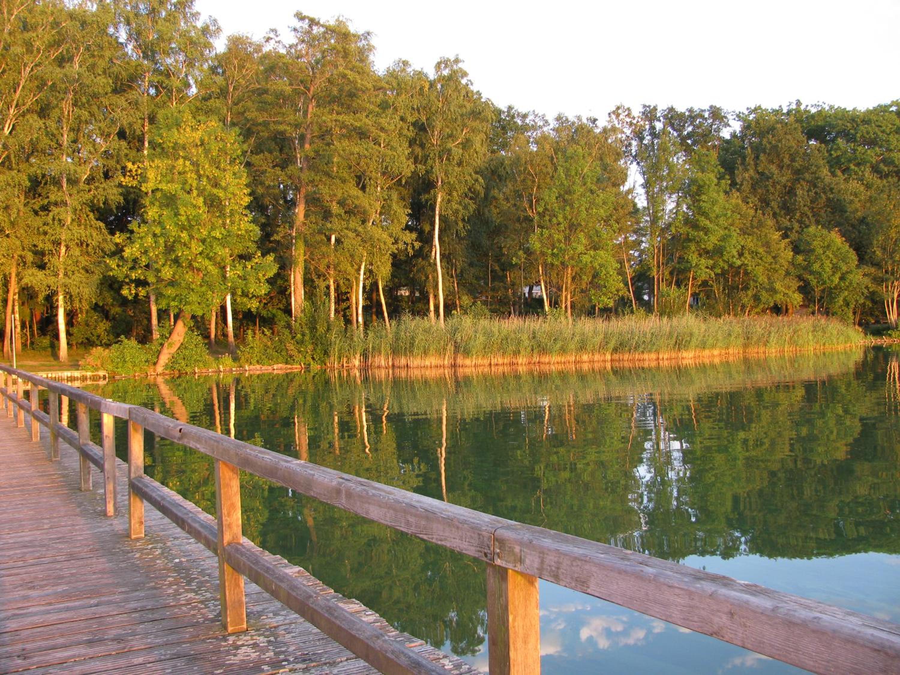 Seeblick III