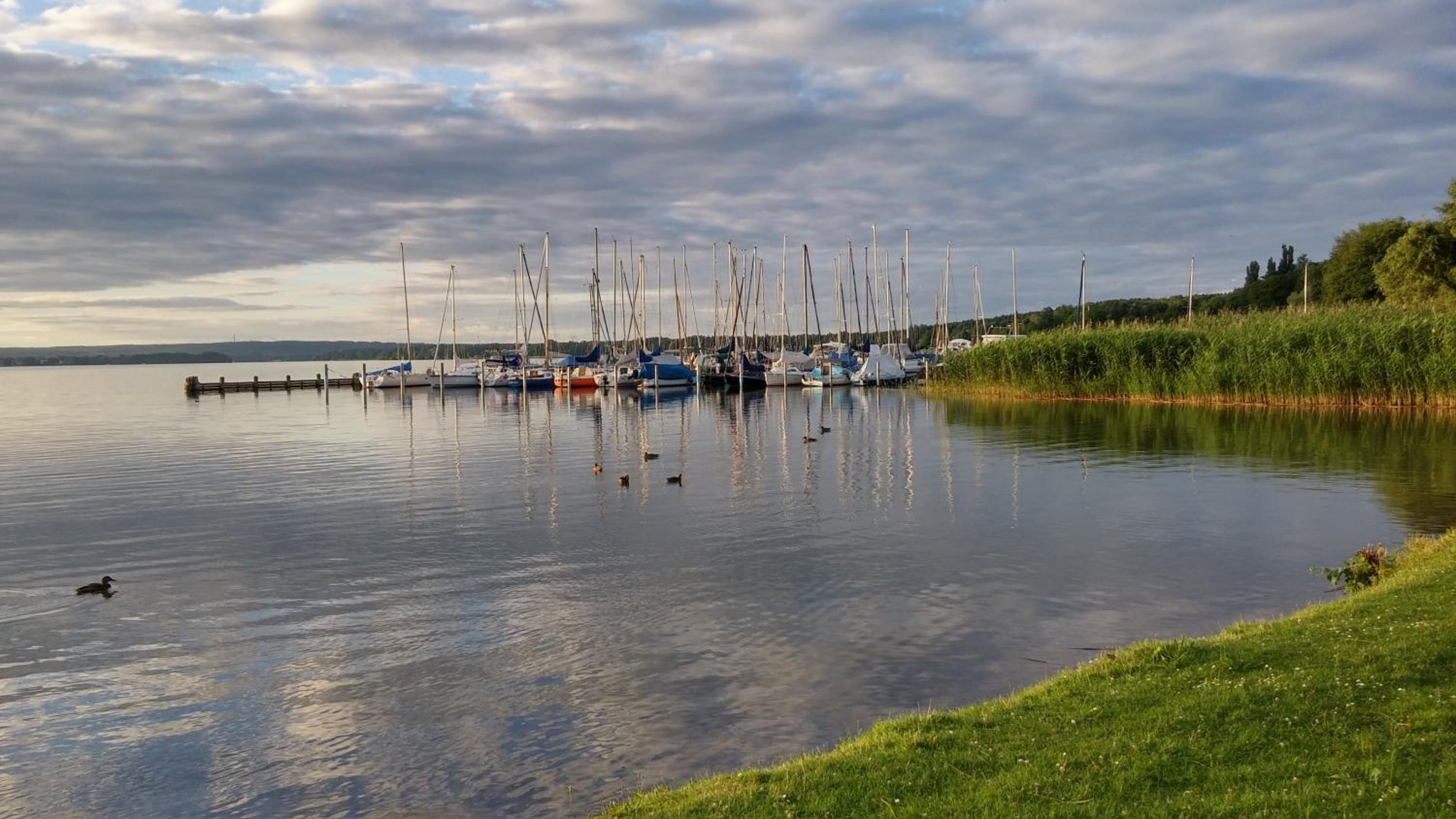 Seeblick III