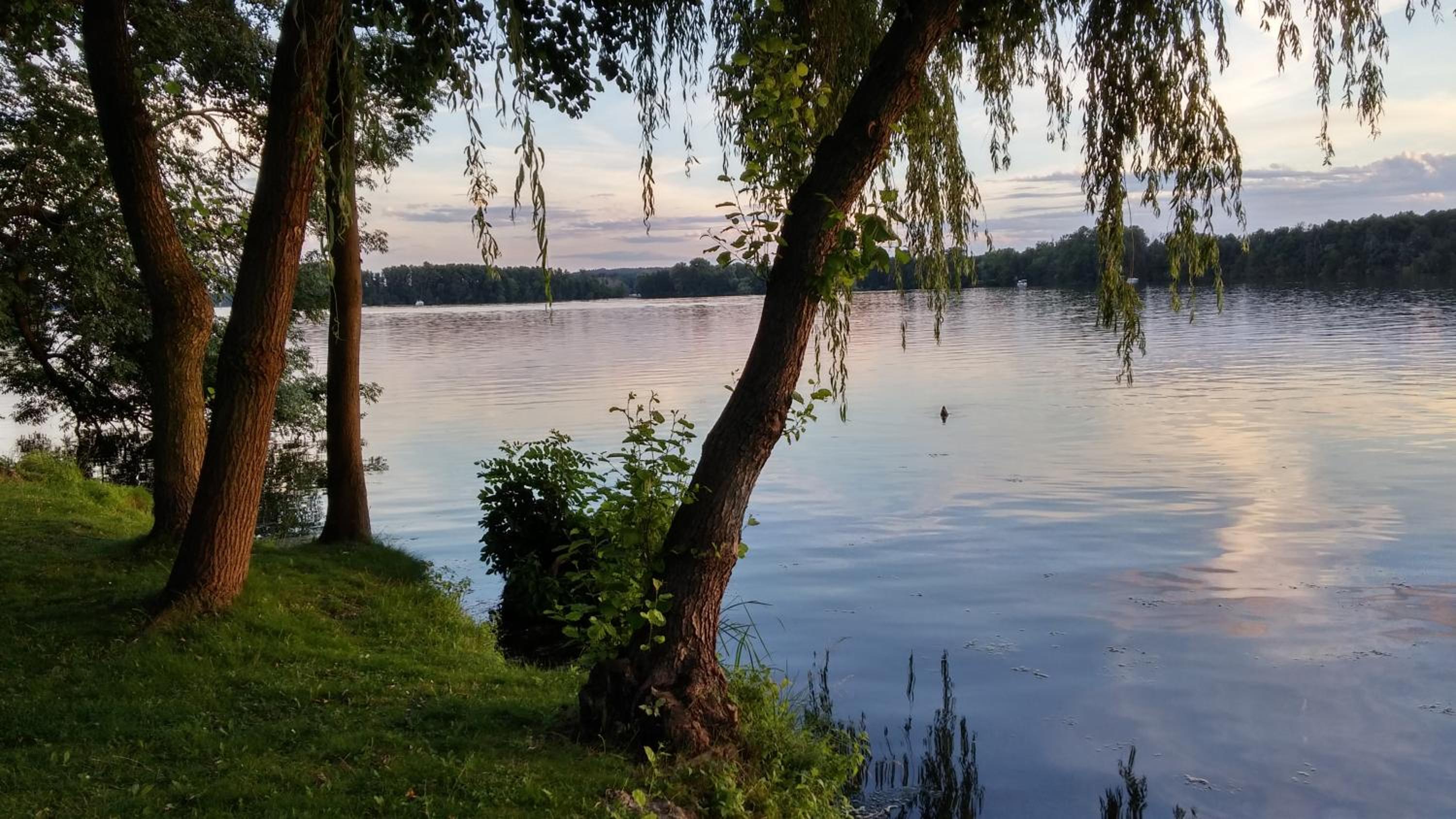 Seeblick III