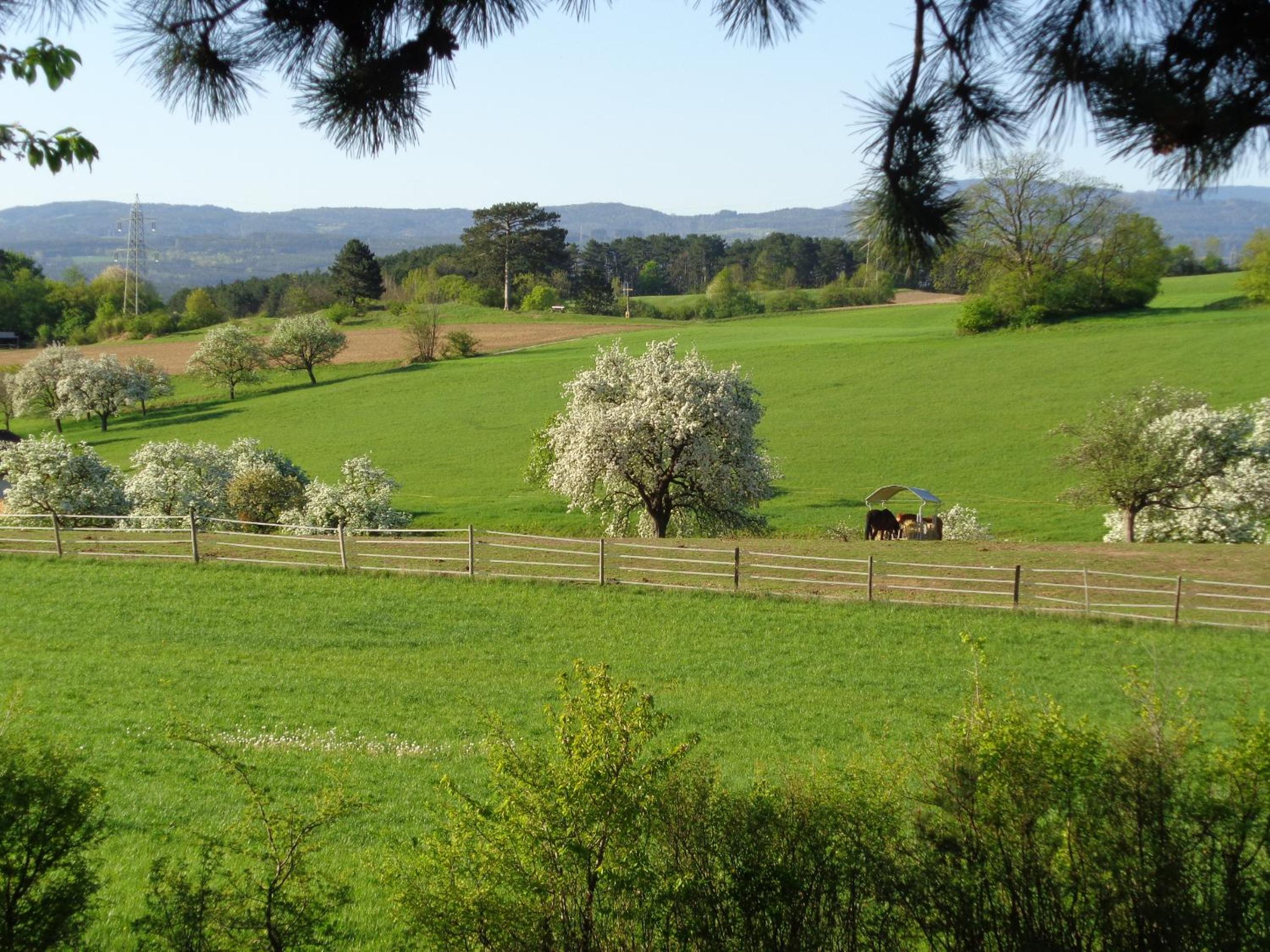 Pension Himmelreich