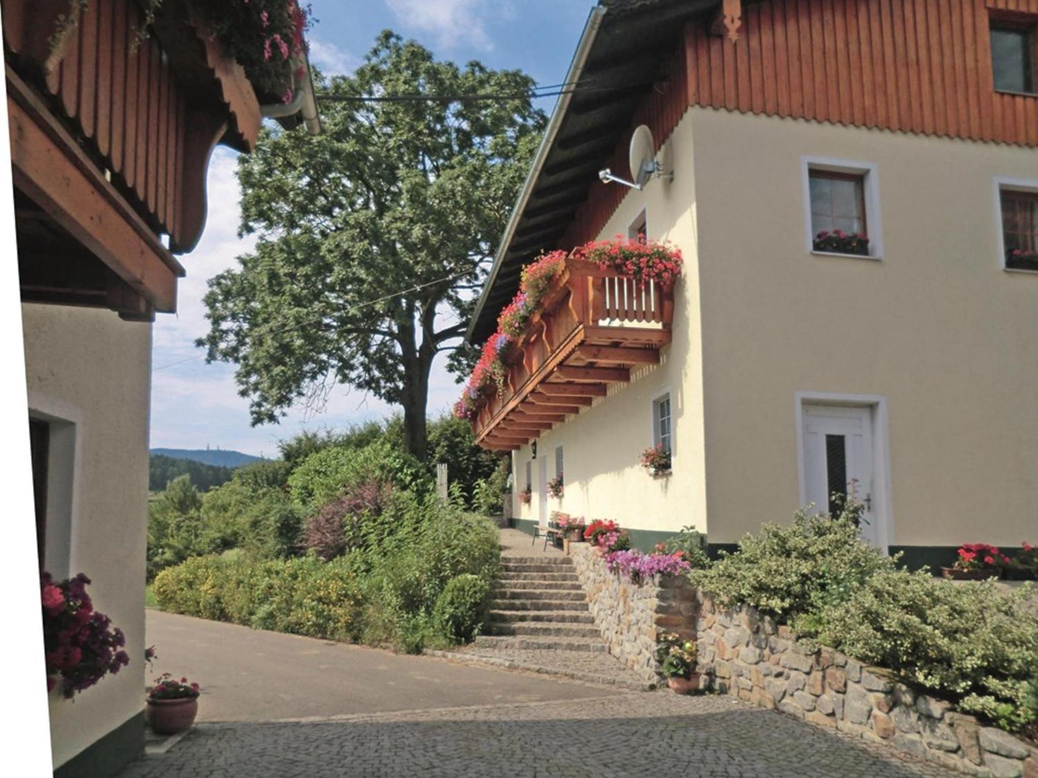Birkenhof view 2