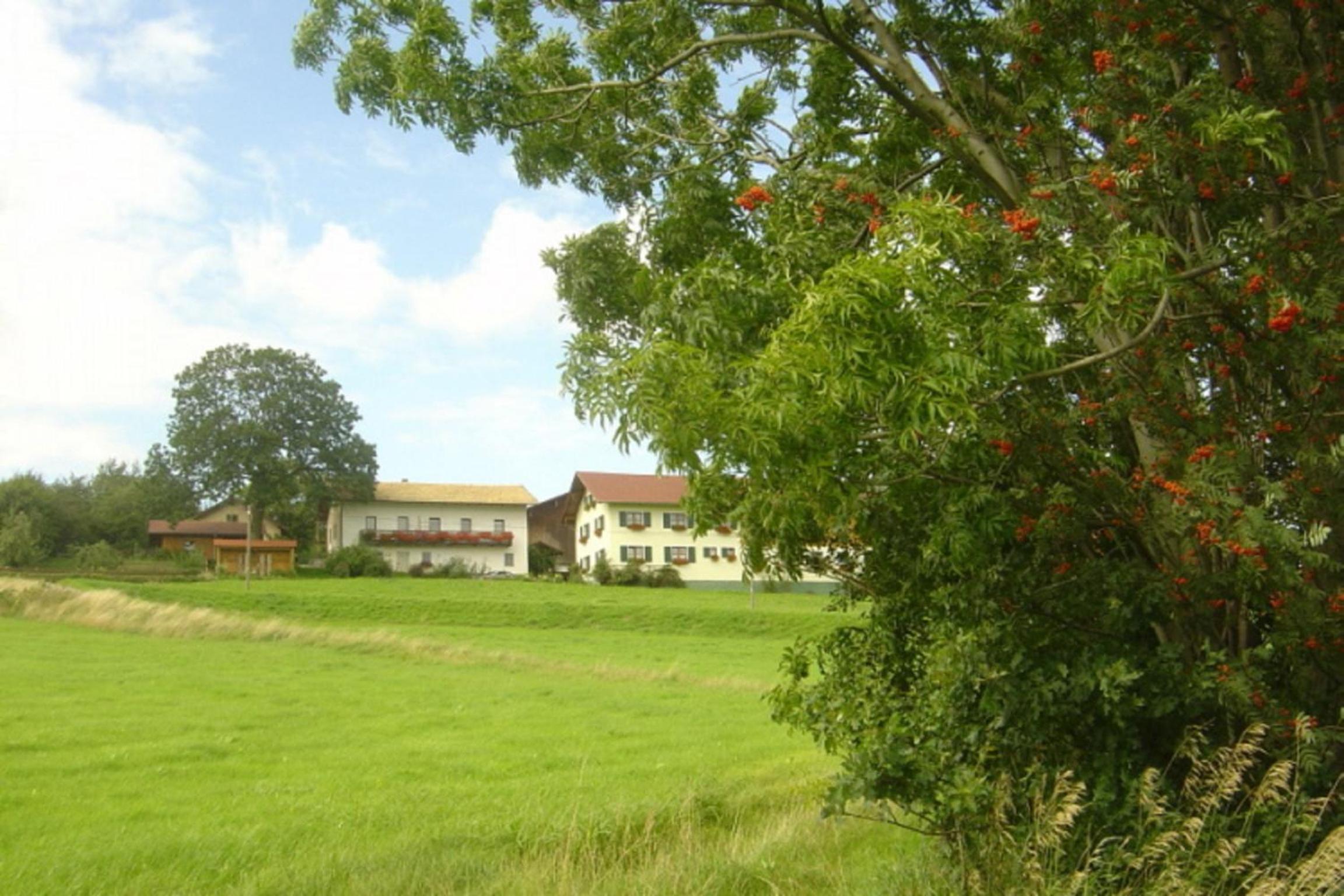 Birkenhof view 5